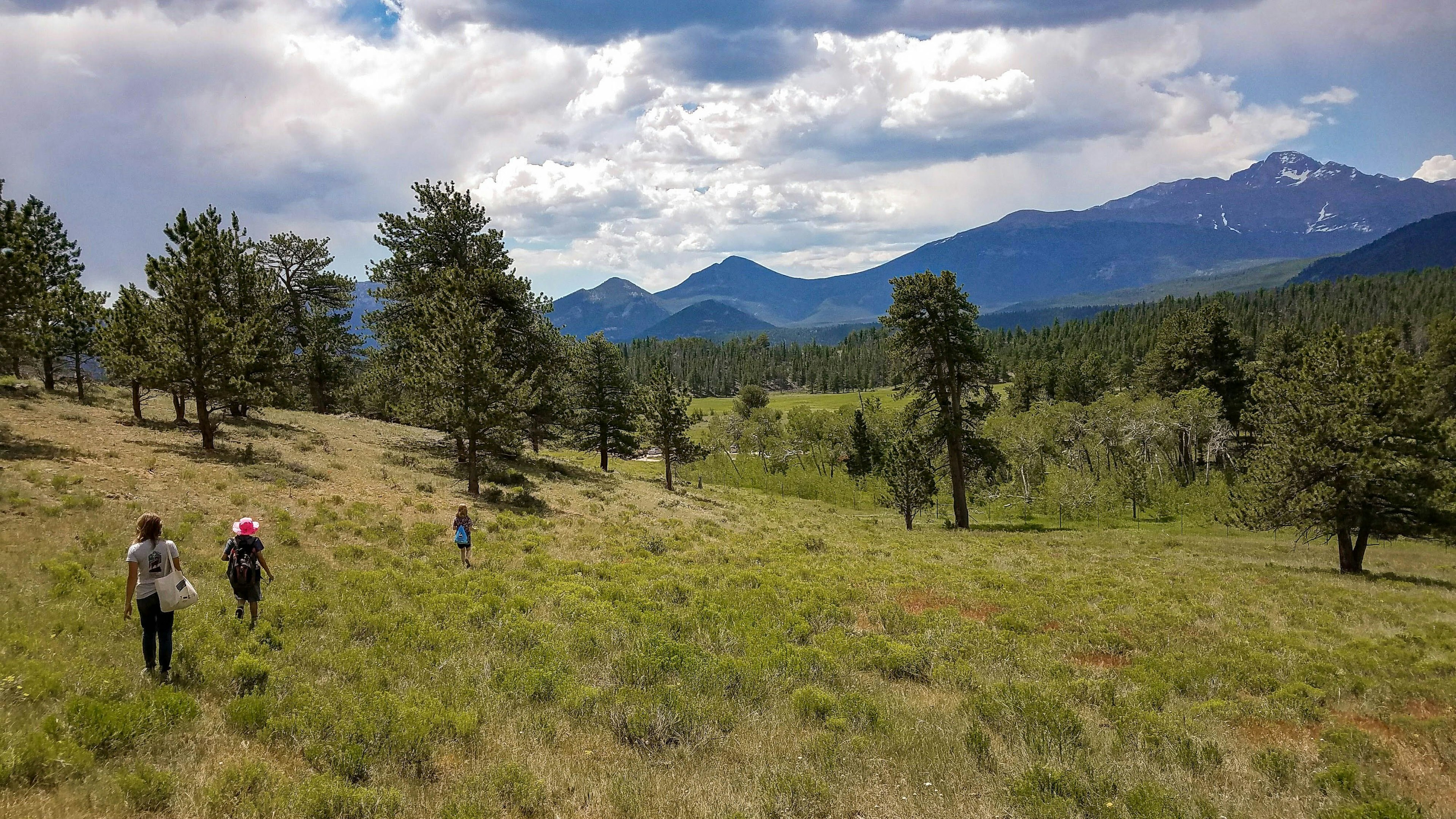 A woman and two small children are walking across grassland looking for geocaches. The sun is out and there are trees around them.