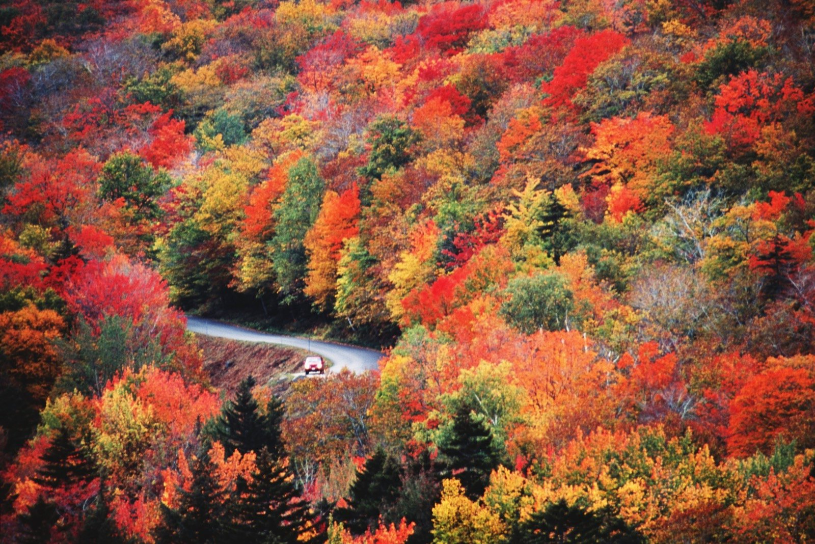 A car drives on a windy road that you can barely see because of the dense orange, red, yellow and green foliage while listening to audiobooks for a US road trip through small-town America.