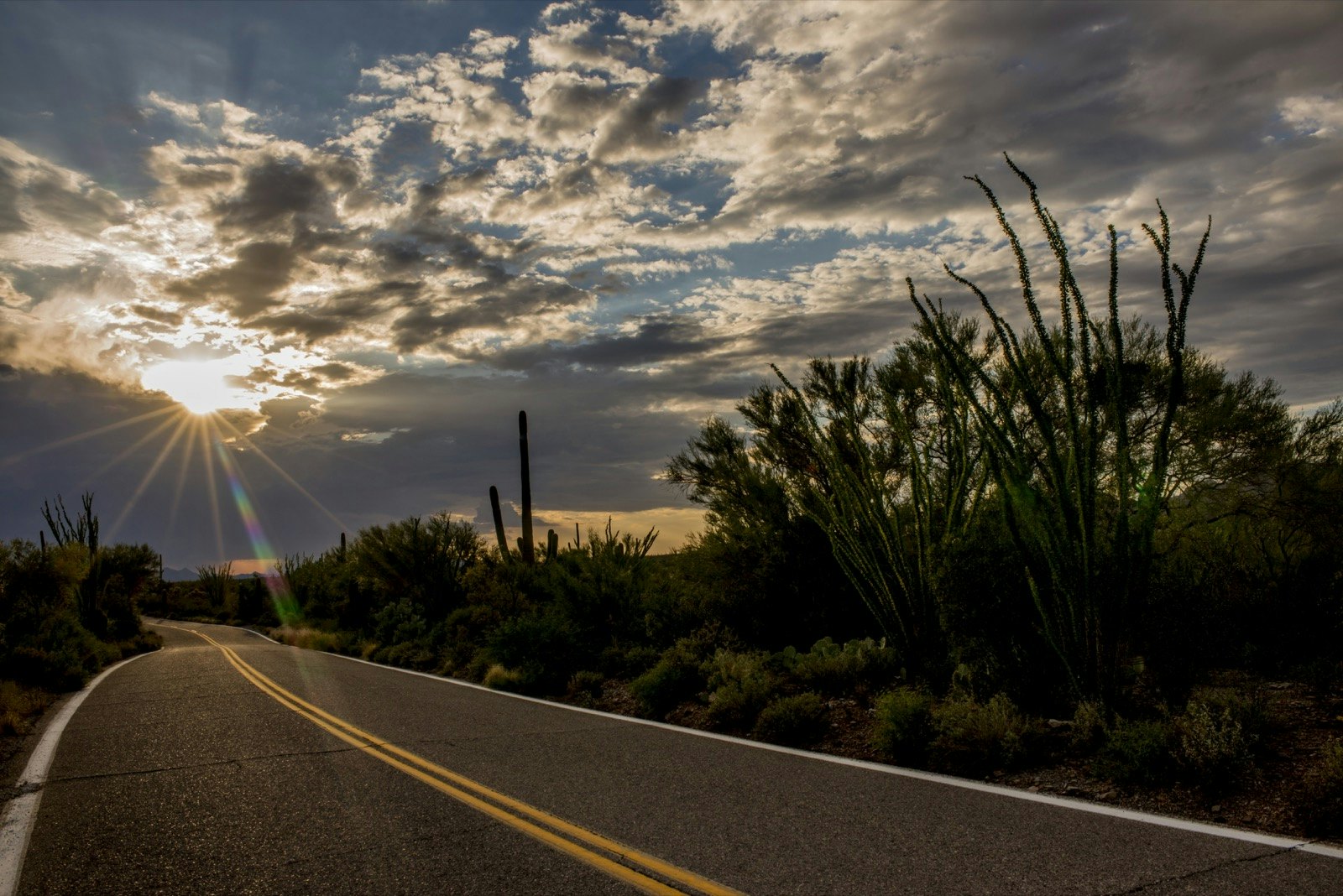 A road leads through a cactus field while the sun lights up interesting clouds. The Tempest is the perfect audiobooks for US road trip out west selection.