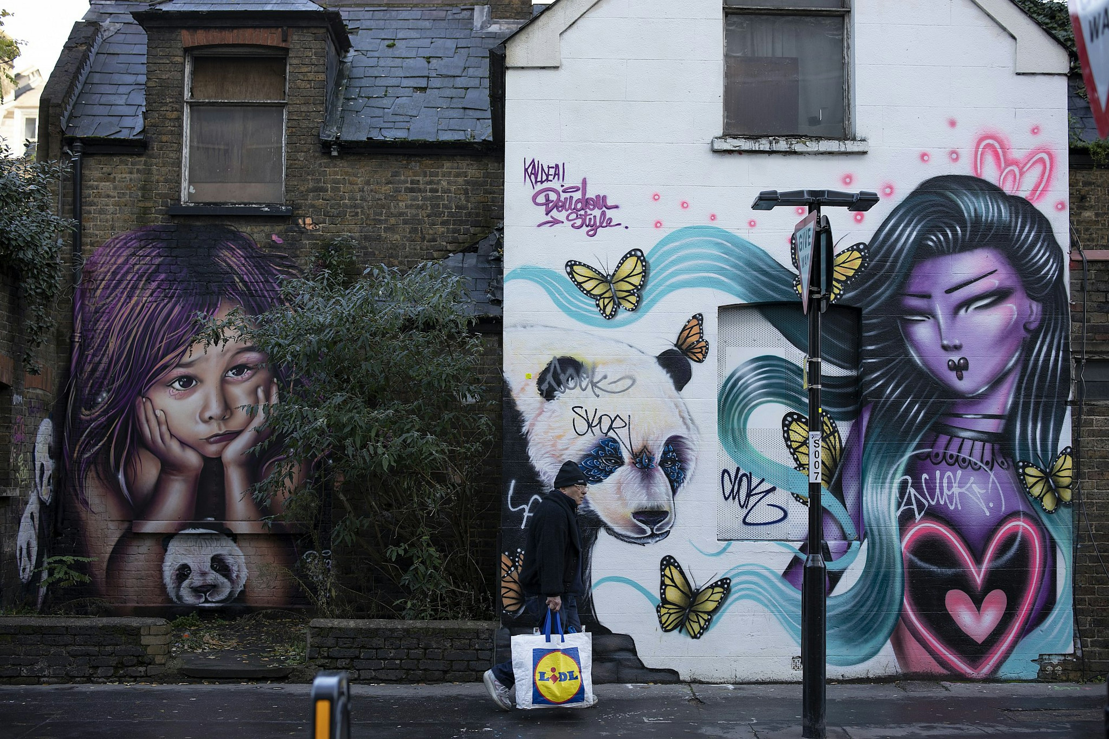 A man carrying a Lidl shopping bag walks past a dilapidated-looking house with its walls covered in street art, including pandas, yellow butterflies, and a woman with purple skin and flowing turquoise hair.