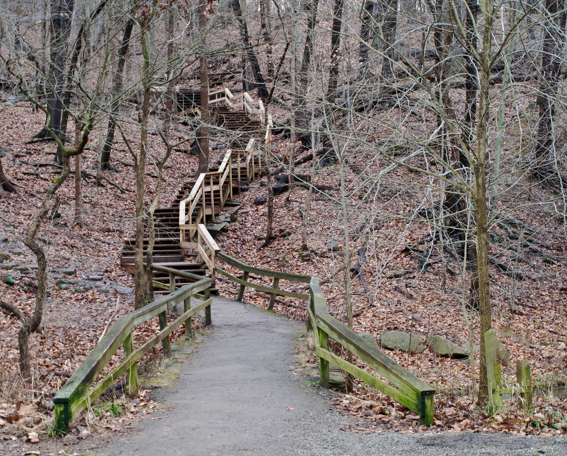 A paved path winter time with bare trees, leading to a set of wooden steps heading up through the woods in Frick Park located in Pittsburgh, Pennsylvania, USA 