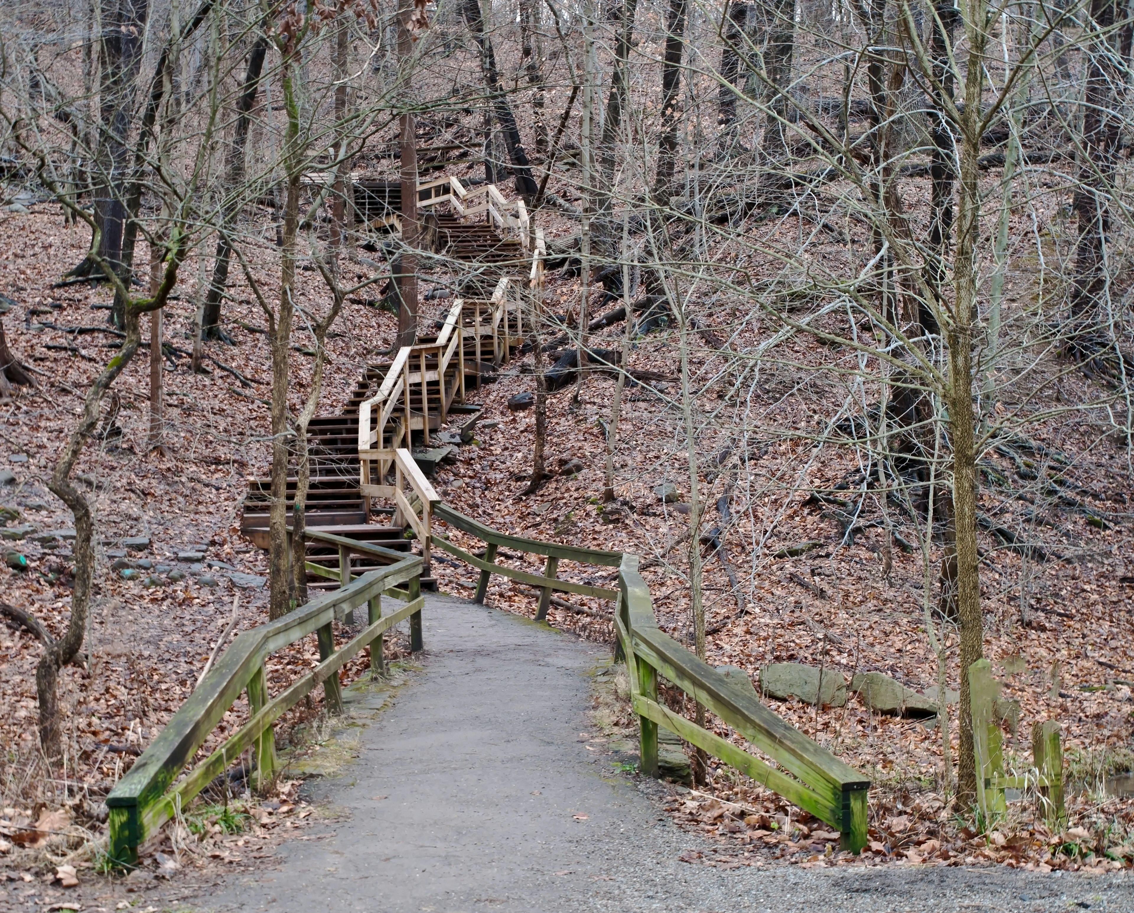 A paved path winter time with bare trees, leading to a set of wooden steps heading up through the woods in Frick Park located in Pittsburgh, Pennsylvania, USA