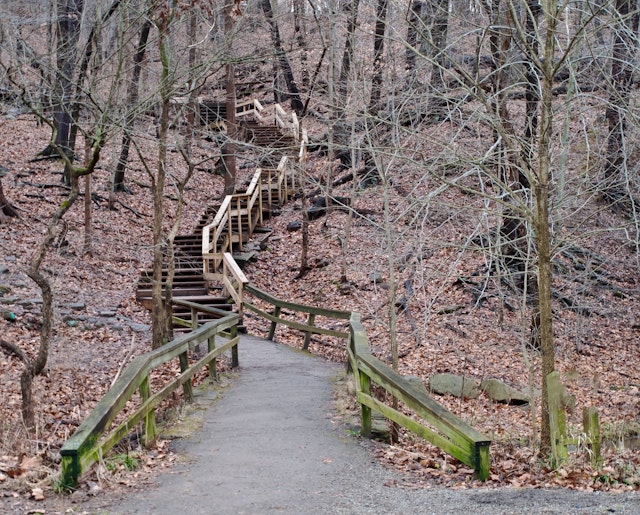 A paved path winter time with bare trees, leading to a set of wooden steps heading up through the woods in Frick Park located in Pittsburgh, Pennsylvania, USA