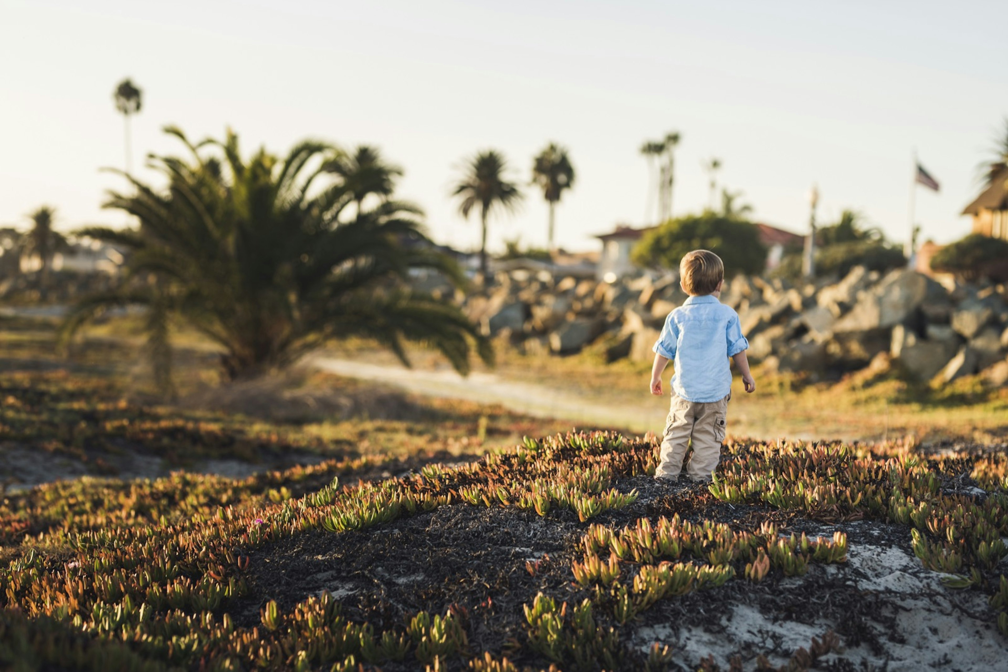 Photo of the back of a young boy staring at a rocky coast with palm trees and a sandy path in the background on a trip to San Diego with toddlers