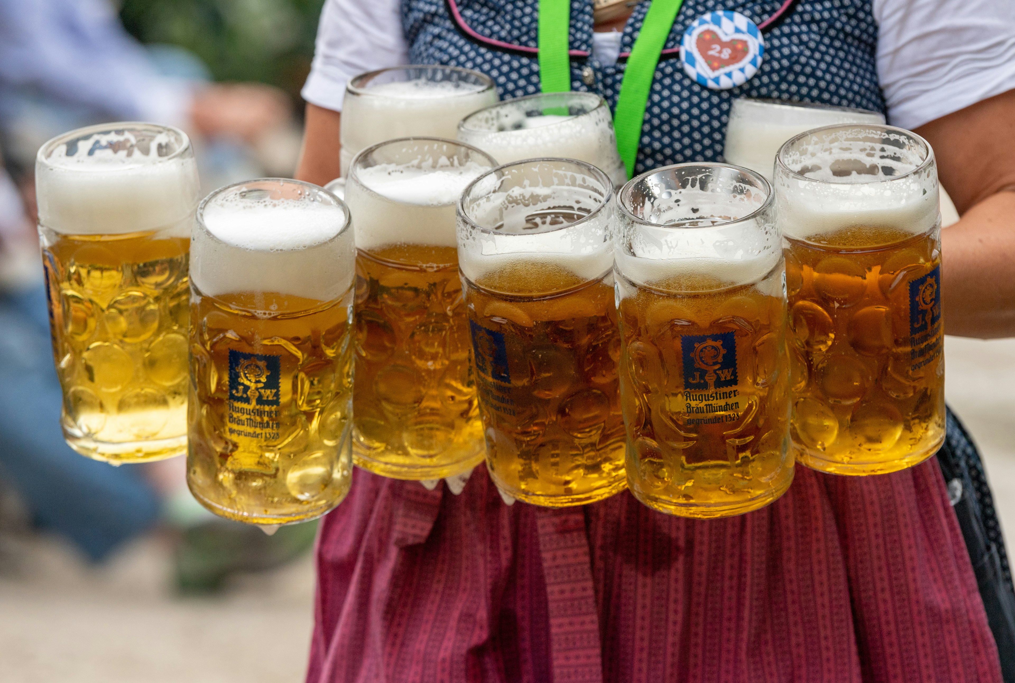 A waitress carries nine measures of beer to the tables at the Dachau Volksfest, Bavaria, Germany