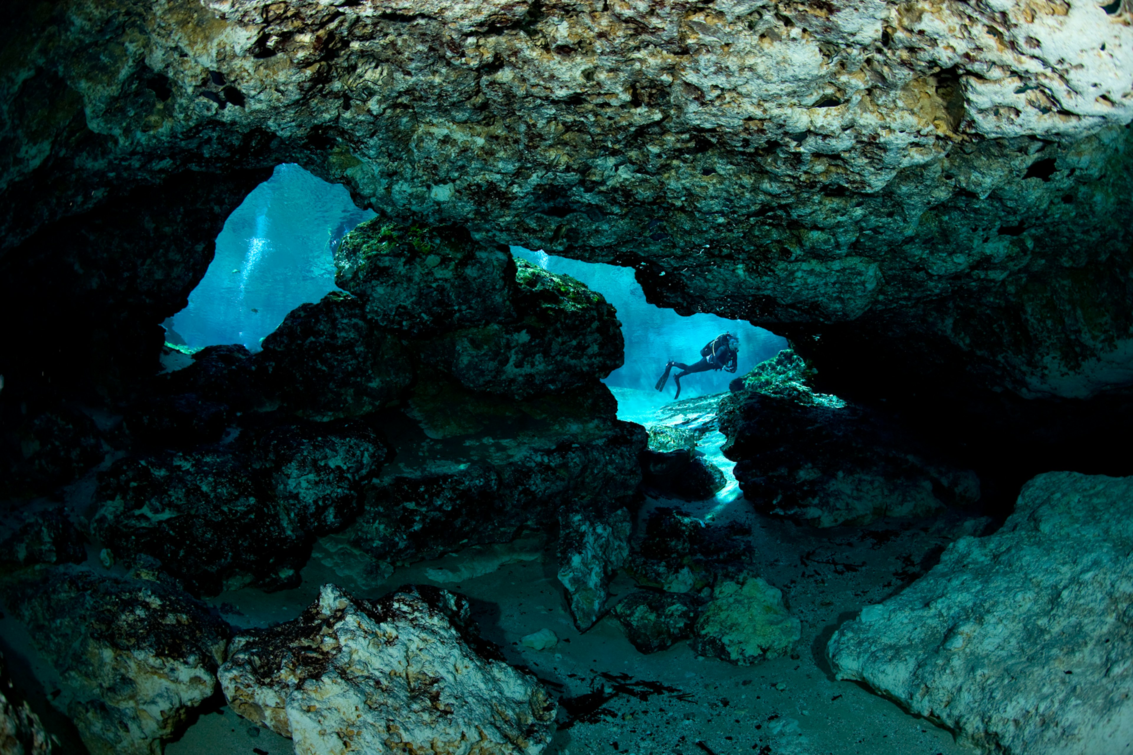 A scuba diver framed by underwater rock formations; southern US summer trips