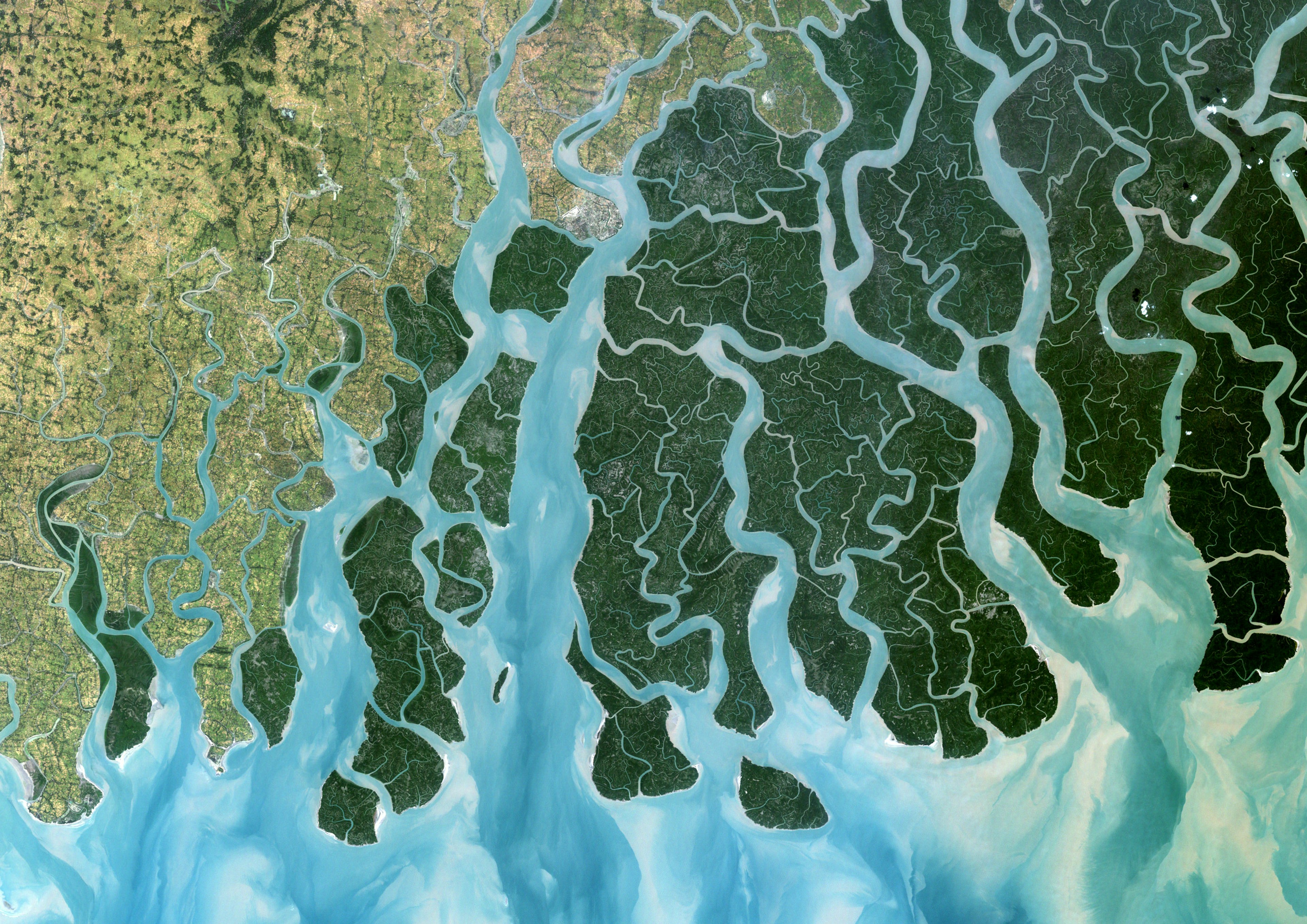 The snaking watercourses of the Sunderbans delta, viewed from space © UniversalImagesGroup / Getty Images