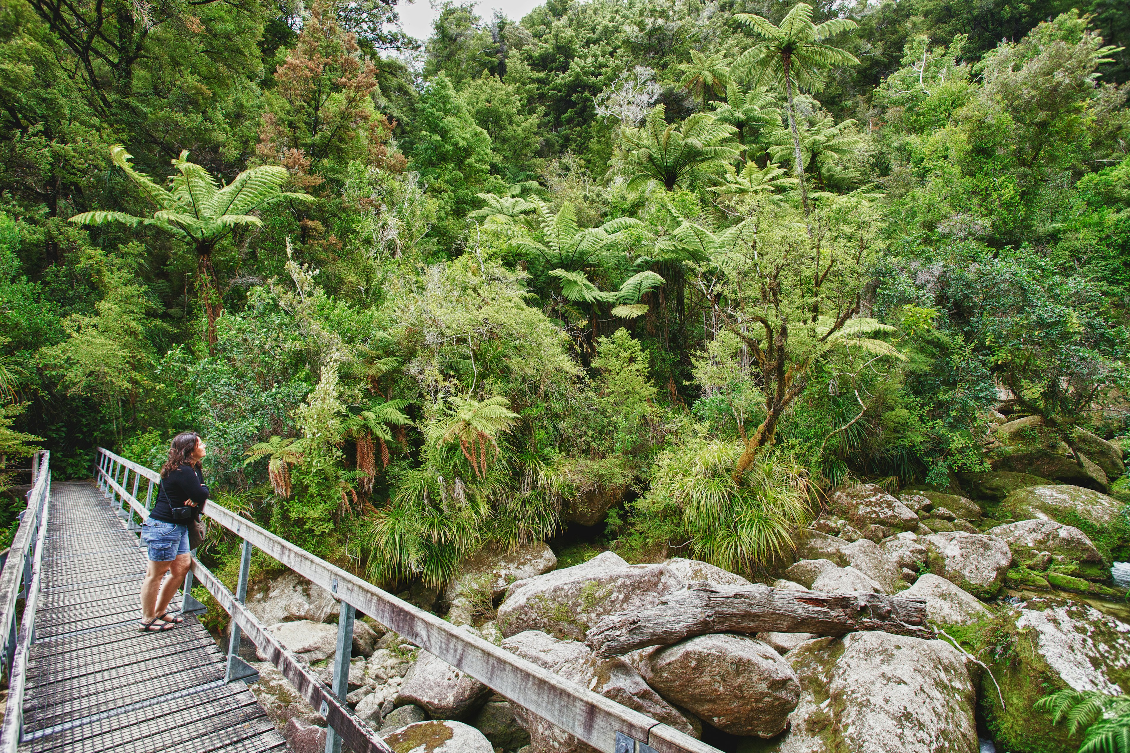 Girl standing on a footbridge gazing into green forest