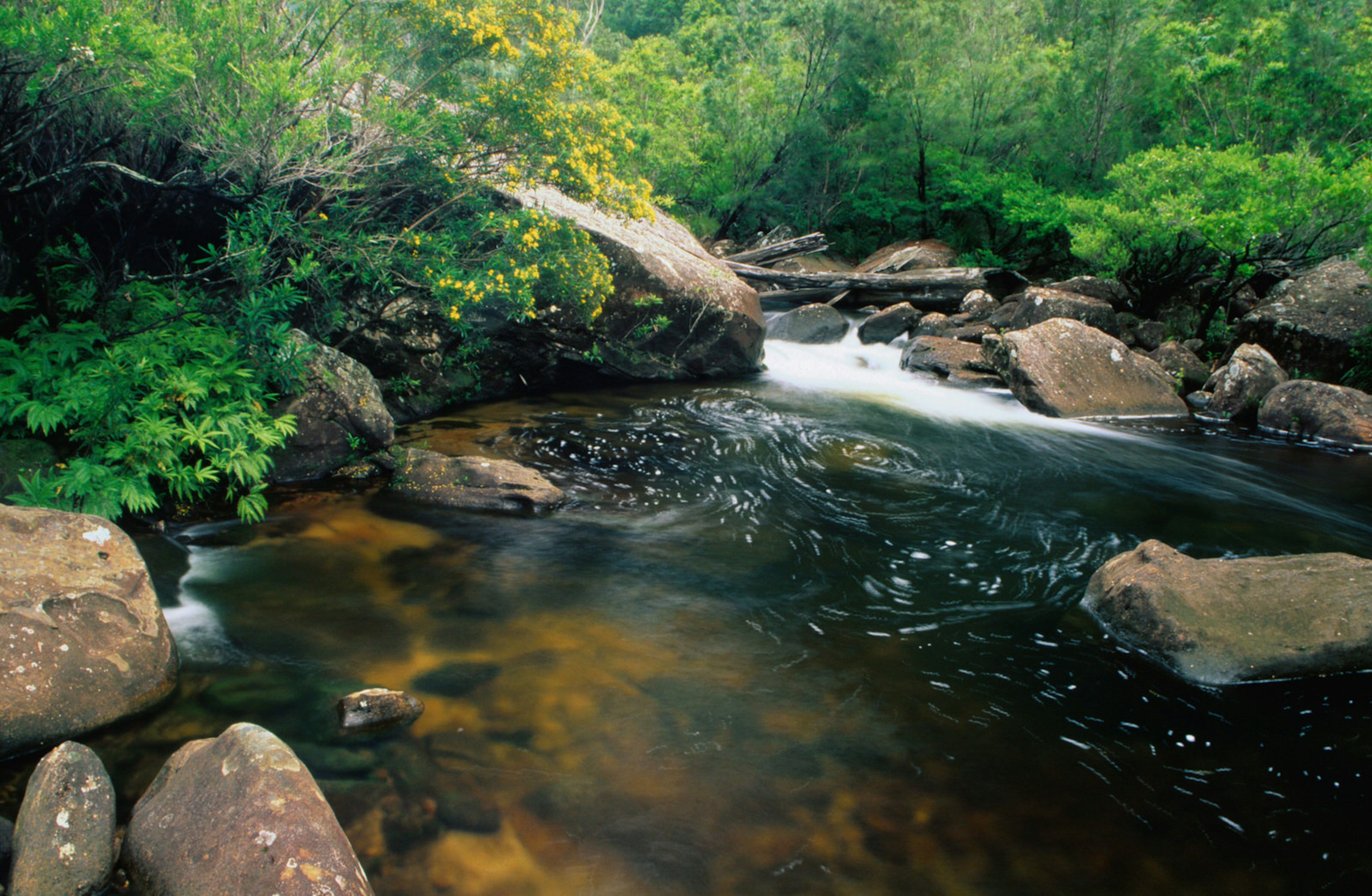 A pool with gently swirling waters