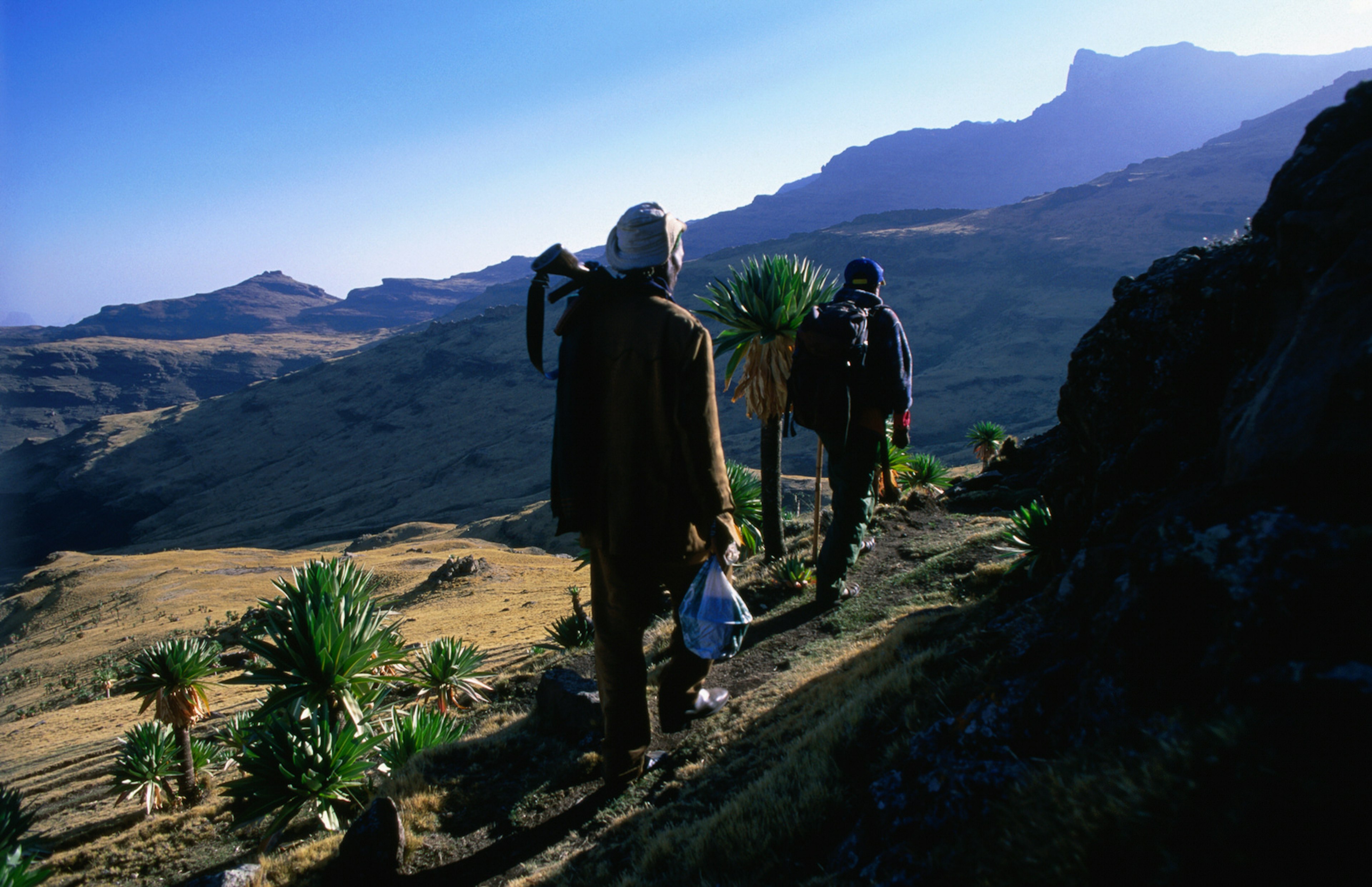 On the long climb to Ras Dashen (4543m), Ethiopia's highest peak, with park scout in tow © Mark Daffey / Getty Images