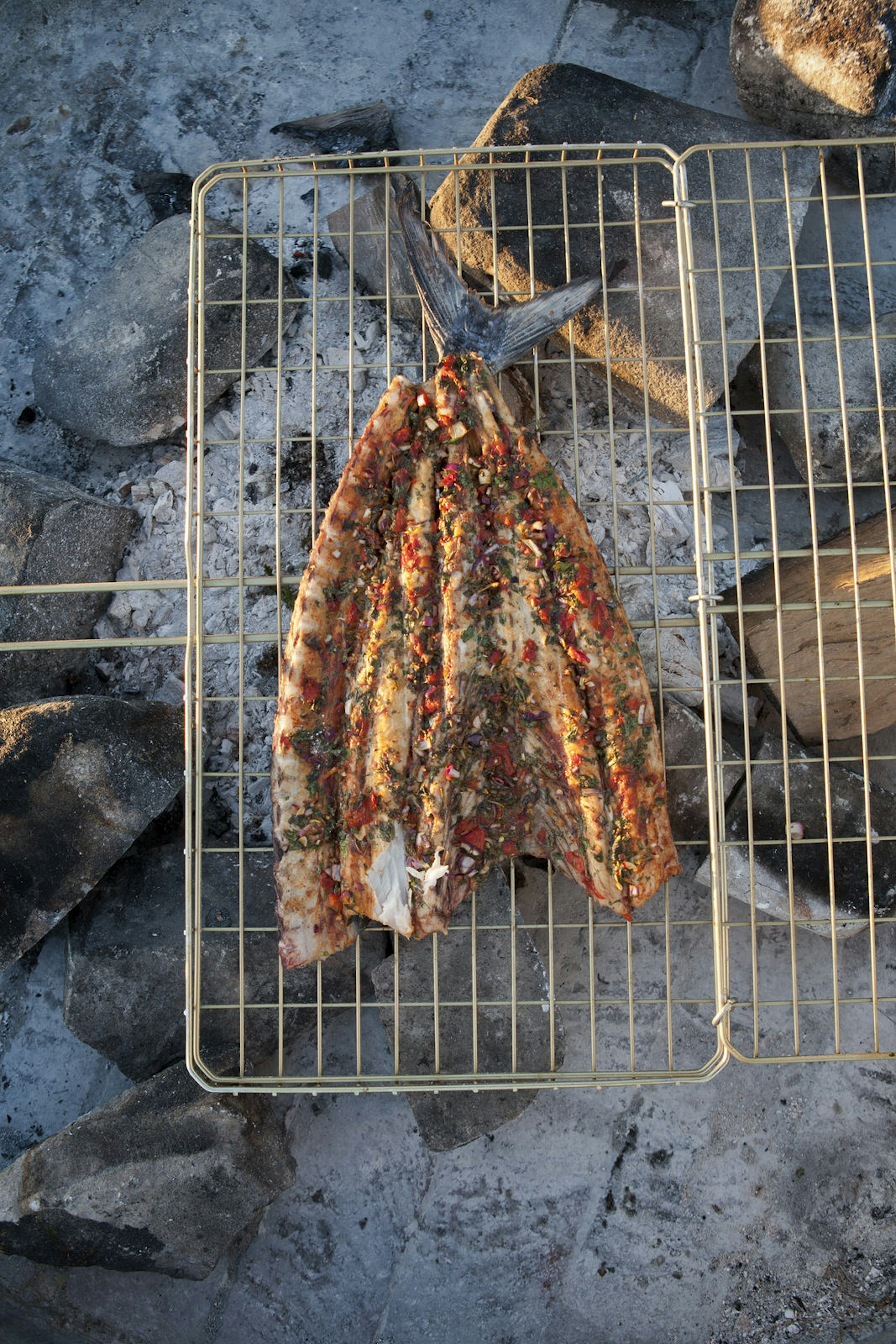 A snoek – the South African name for a barracouta – cooking on a braai, or traditional barbecue © Justin Bonello / Getty Images