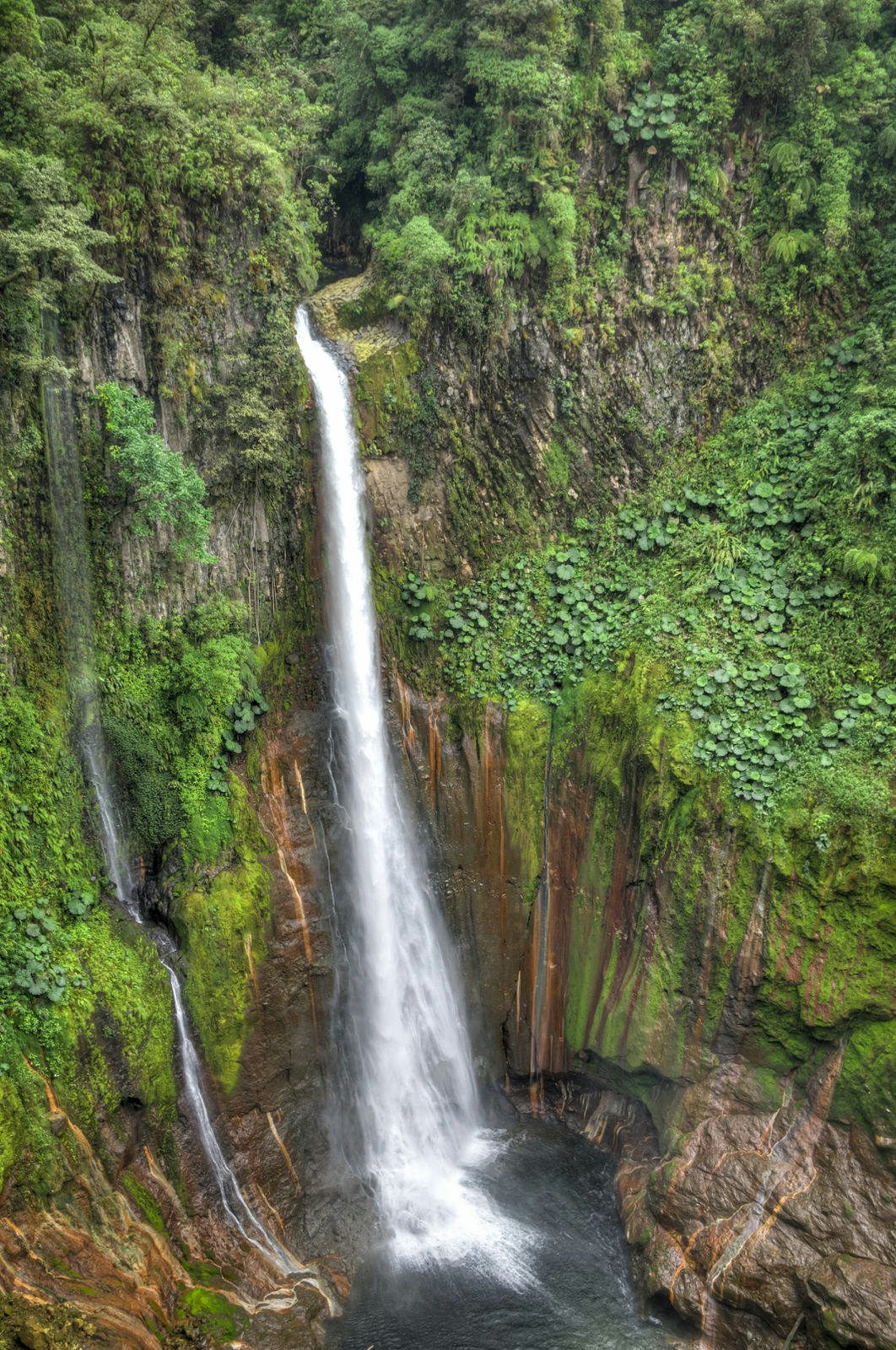 A dramatic waterfall plunges down a cliff face covered in greenery