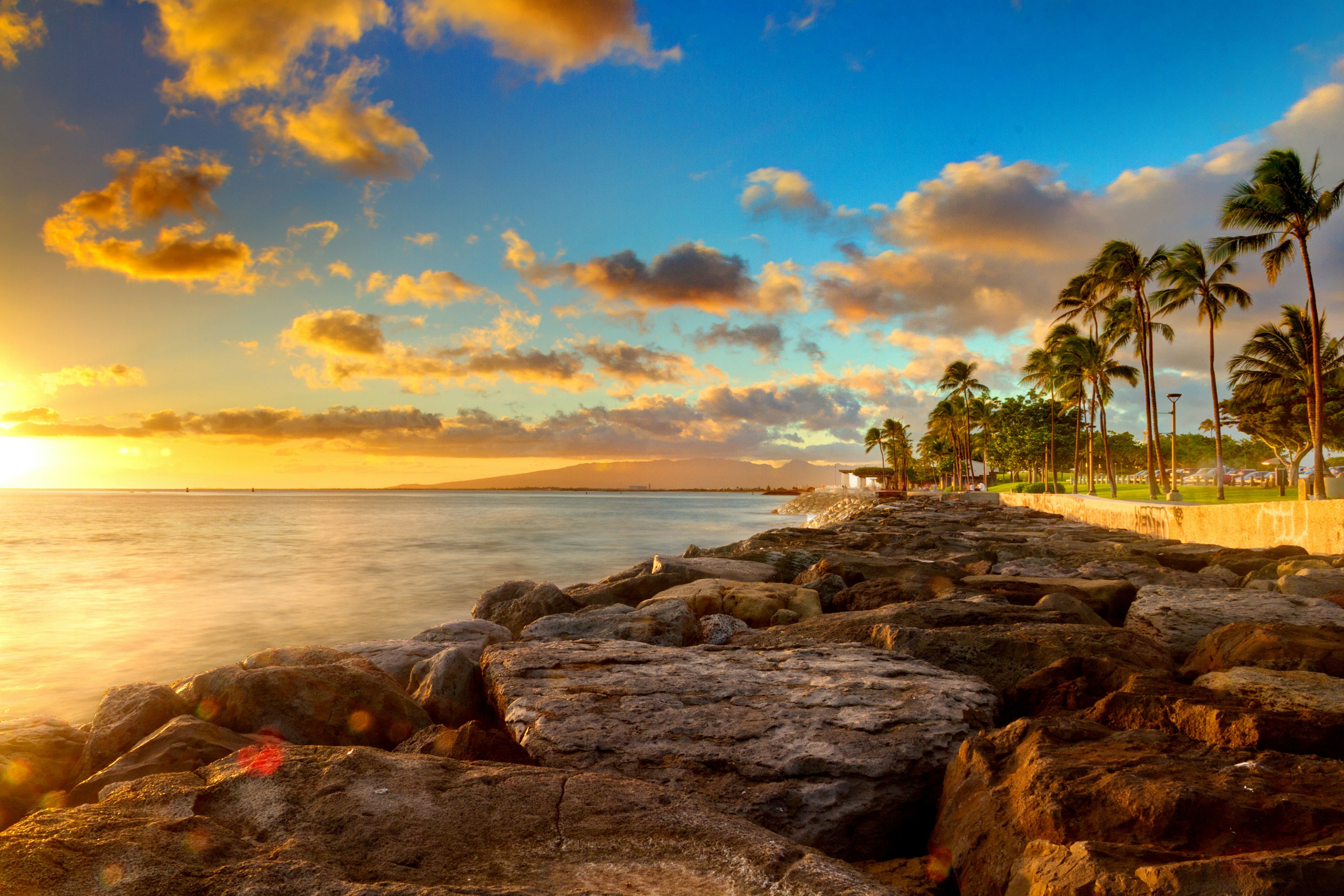 The sun sets on rocky coastline of Kaka'ako beach. There are a slew of palm trees on the sand; hidden Honolulu