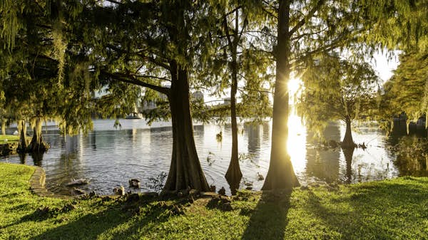 オーランド、無料:高価なテーマパークを超えて都市を見る10の方法