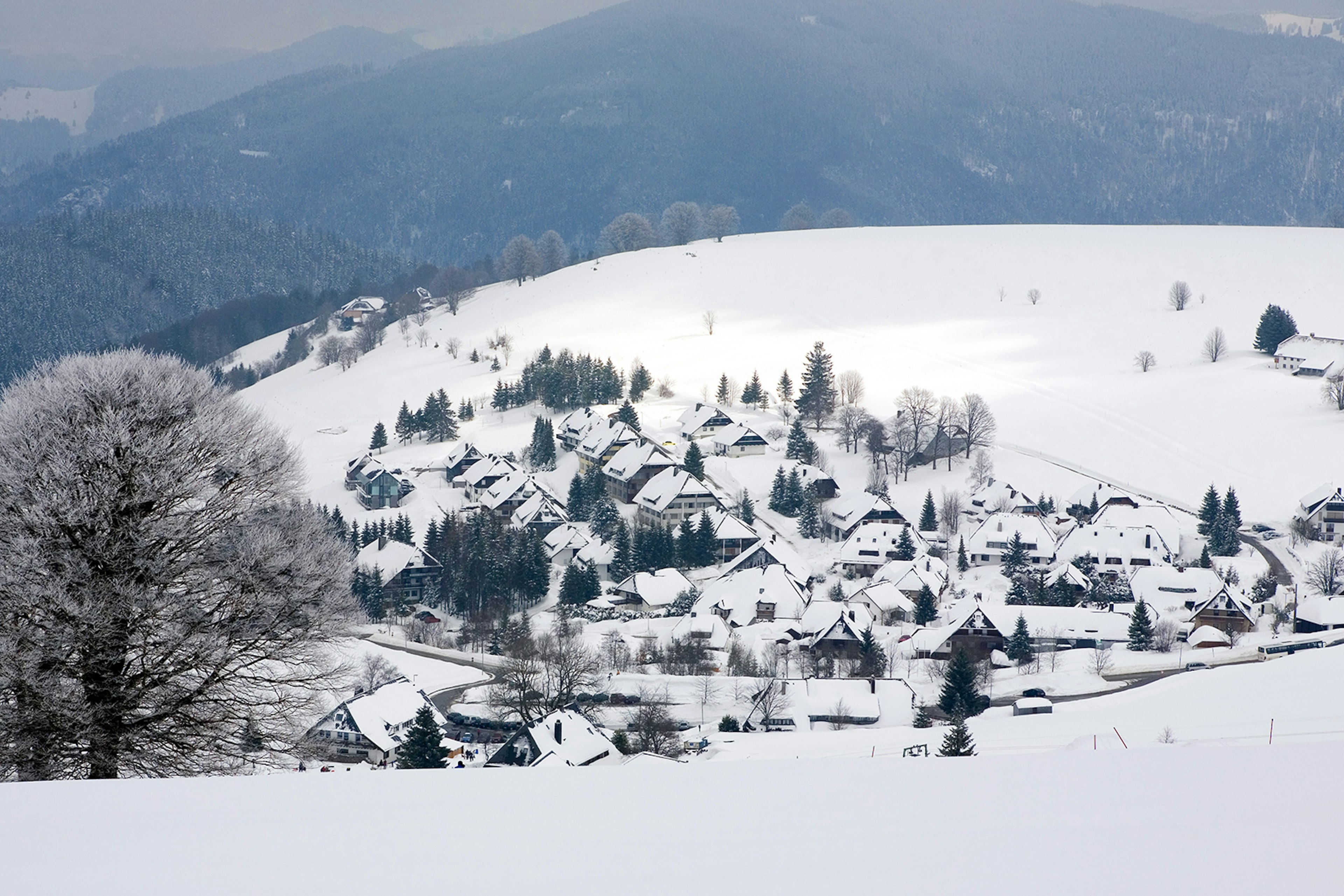 A village of houses with pointed roofs covered entirely with snow