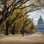 A vibrant fall morning on the National Mall in Washington DC
1773452656
National Mall