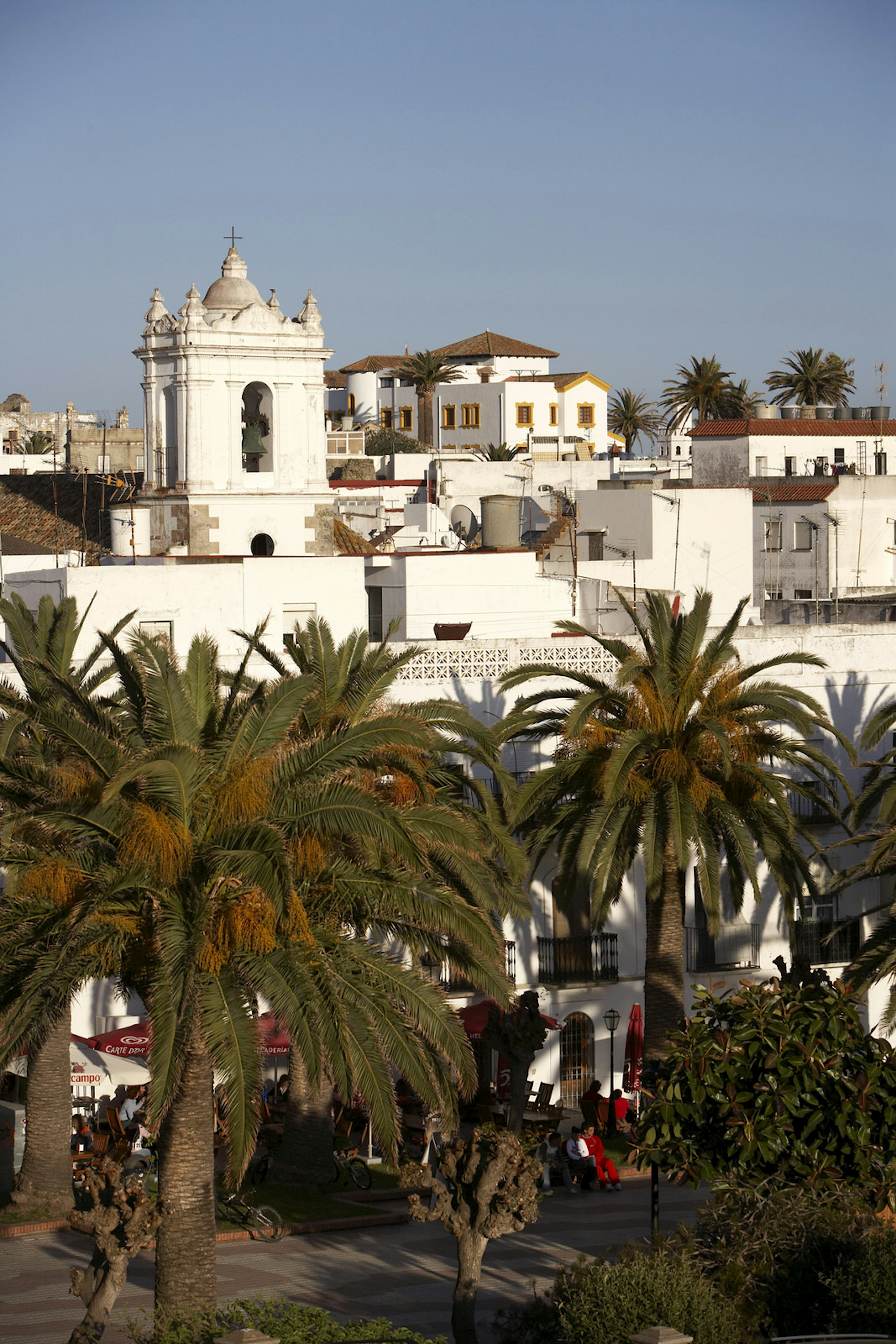 White buildings and palm trees in the old town of Tarifa