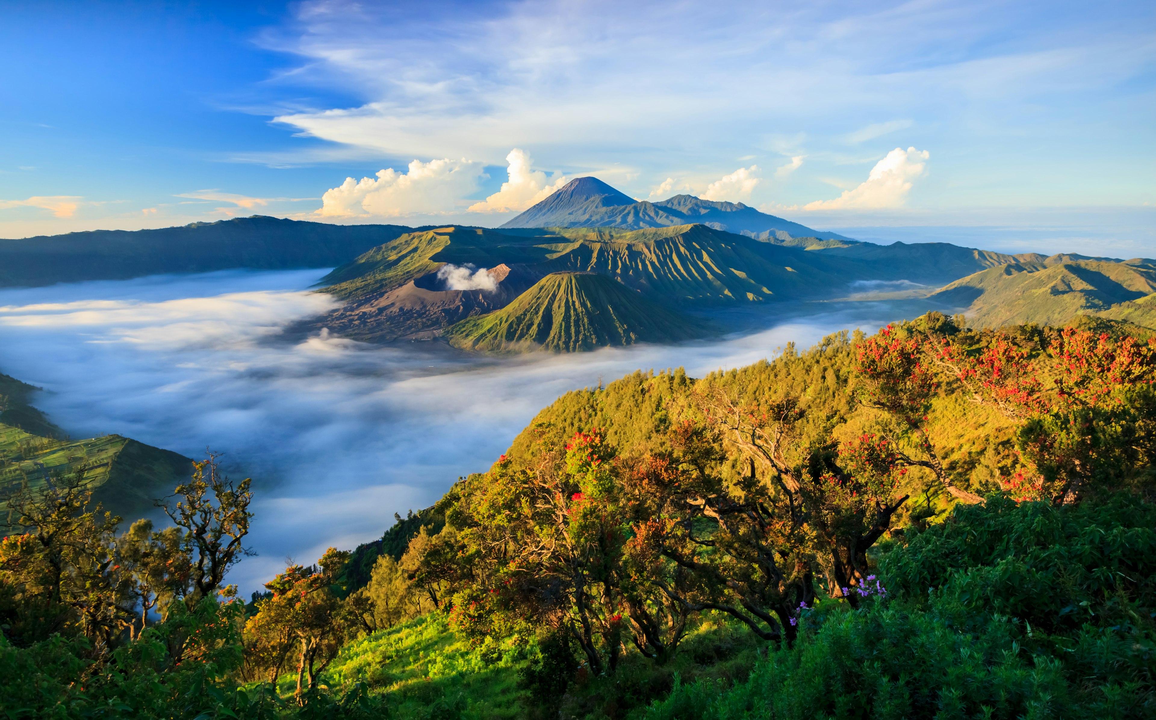 View of the Mount Bromo volcano in the mist, East Java, Indonesia.