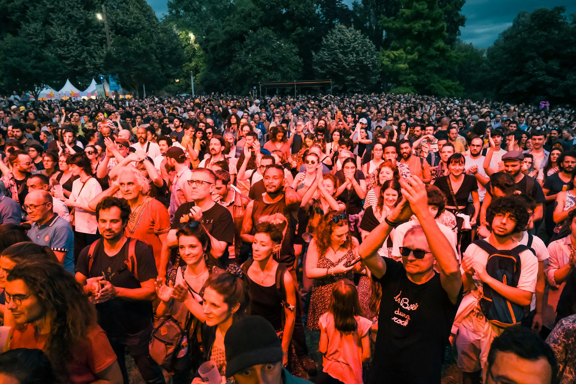 Audience members are illuminated by the stage lights at the outdoor Rio Loco festival in Toulouse