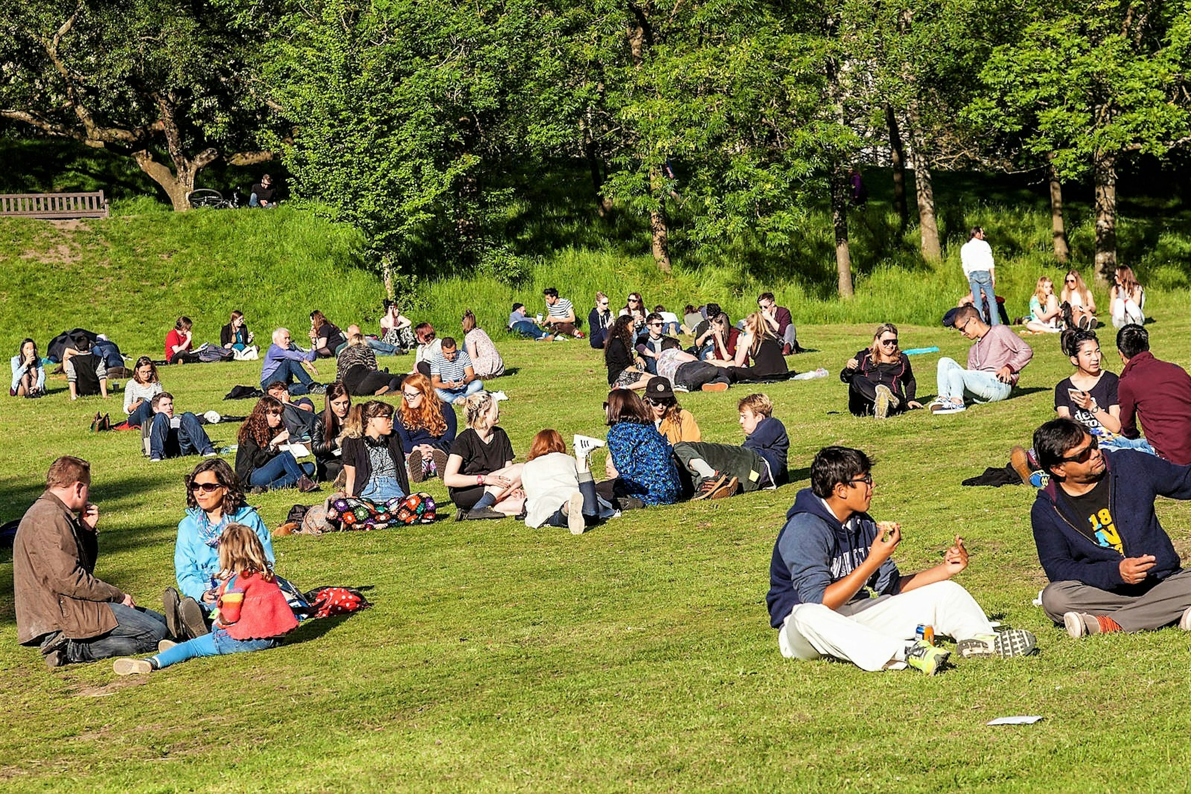 People sitting on the grass in Glasgow's Kelvingrove Park