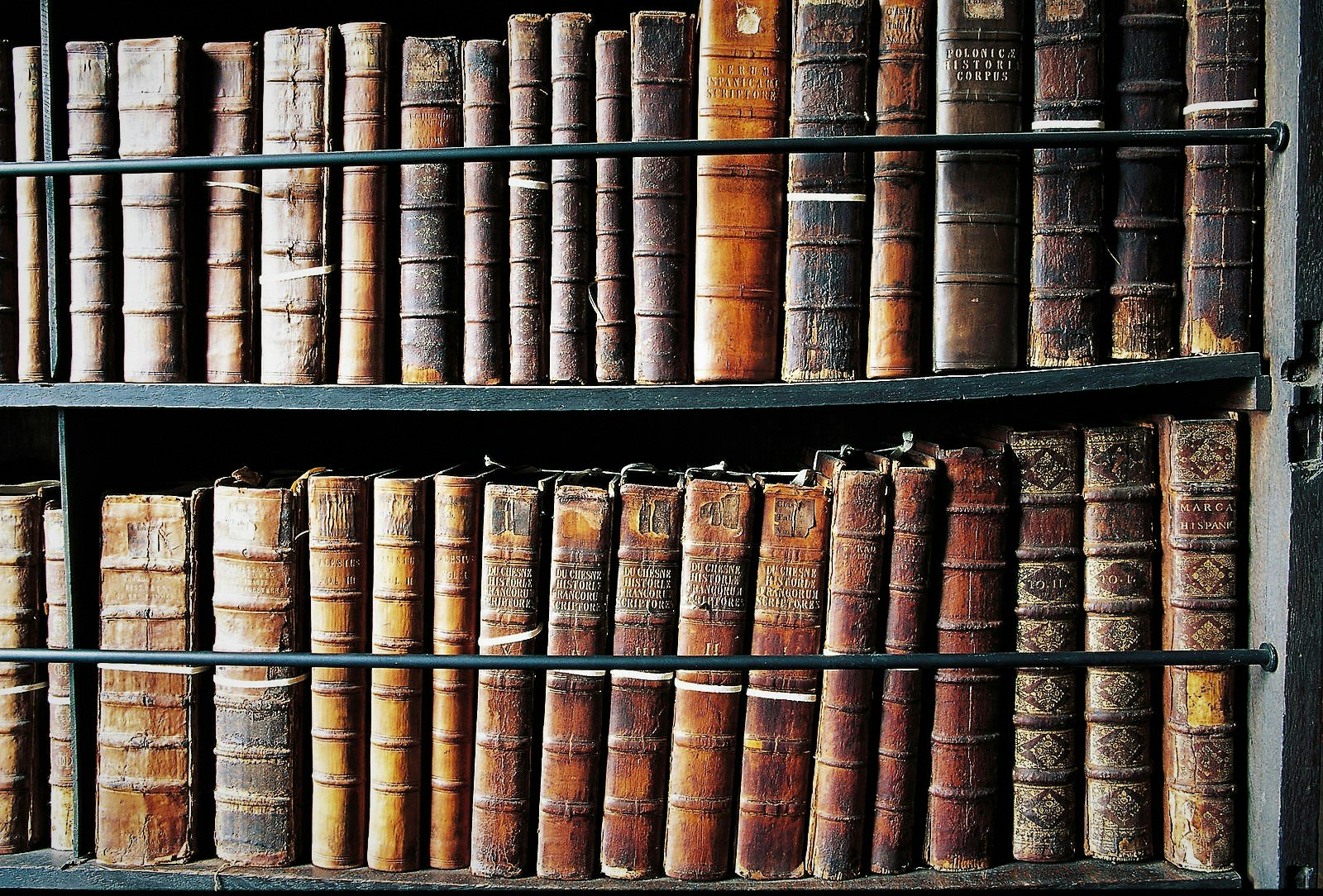 Marsh's Library, the oldest public library in Ireland, is a must on a literary tour of the capital © De Agostini / W. Buss / Getty Images