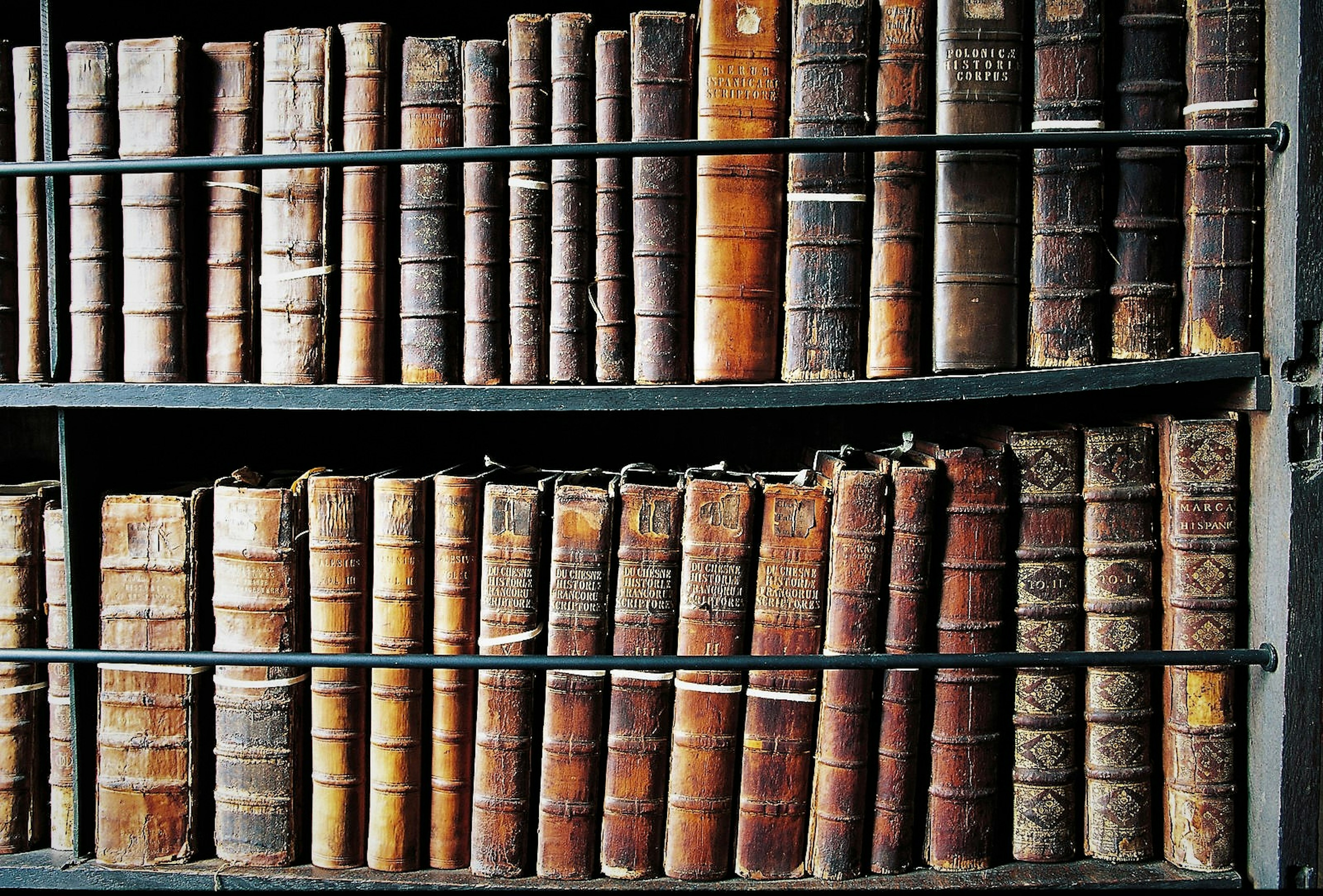 Marsh's Library, the oldest public library in Ireland, is a must on a literary tour of the capital © De Agostini / W. Buss / Getty Images