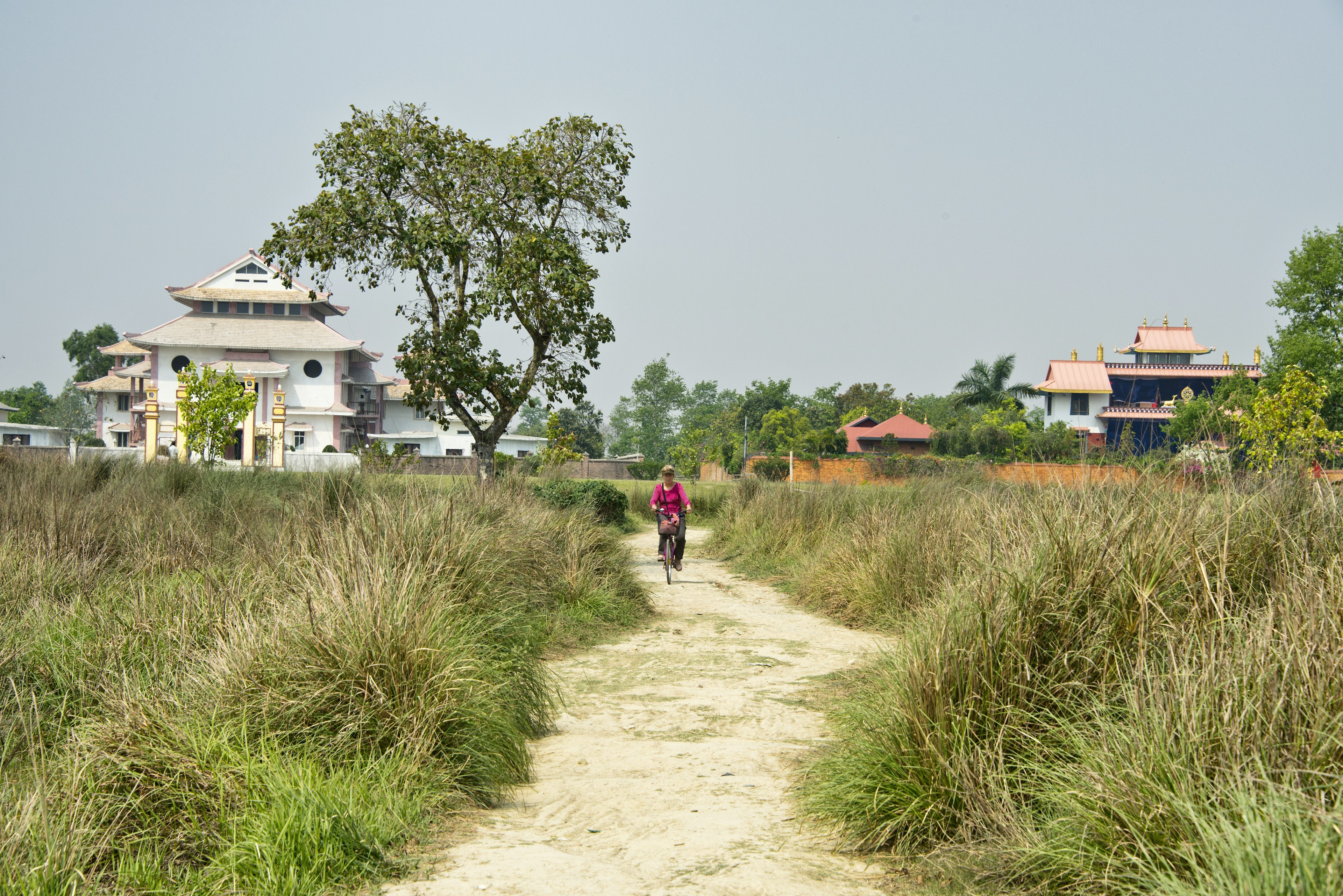 Once you arrive in Lumbini, cycling is the best way to explore the sites. Paul Biris/Getty Images