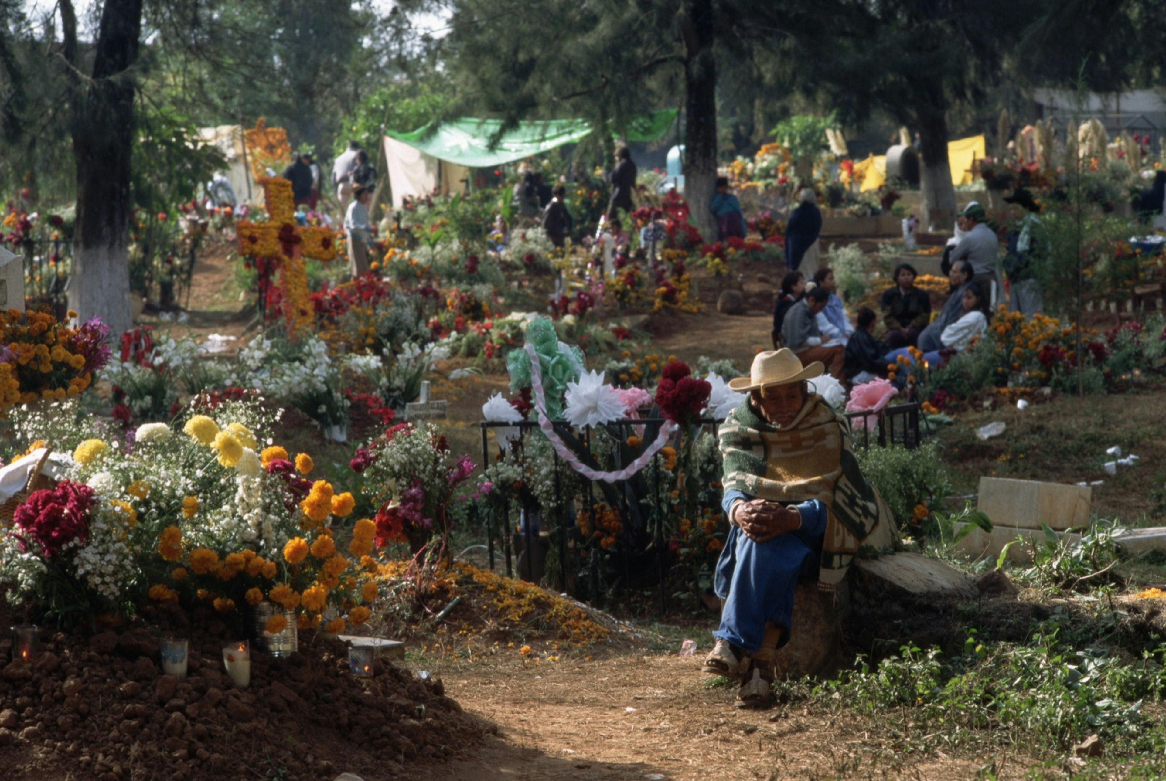 An old man wearing a cowboy hat and a large scarf sits on a stone in a cemetery filled with flowers; behind him are groups of people decorating or paying their respects to tombs; Dia de Muertos