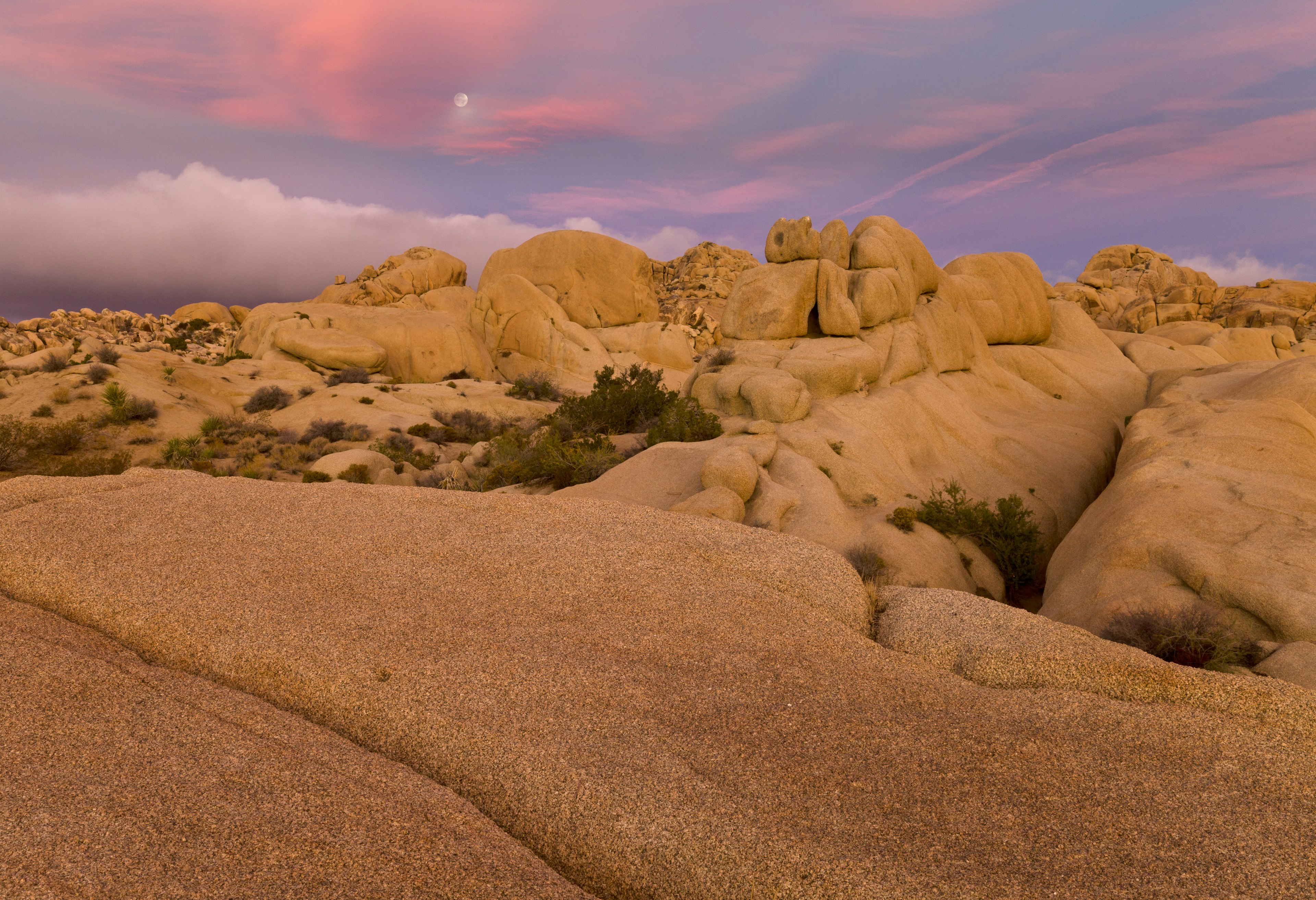 A pastel pink and lavender sunset over the jumbo rocks in Joshua Tree National Park.