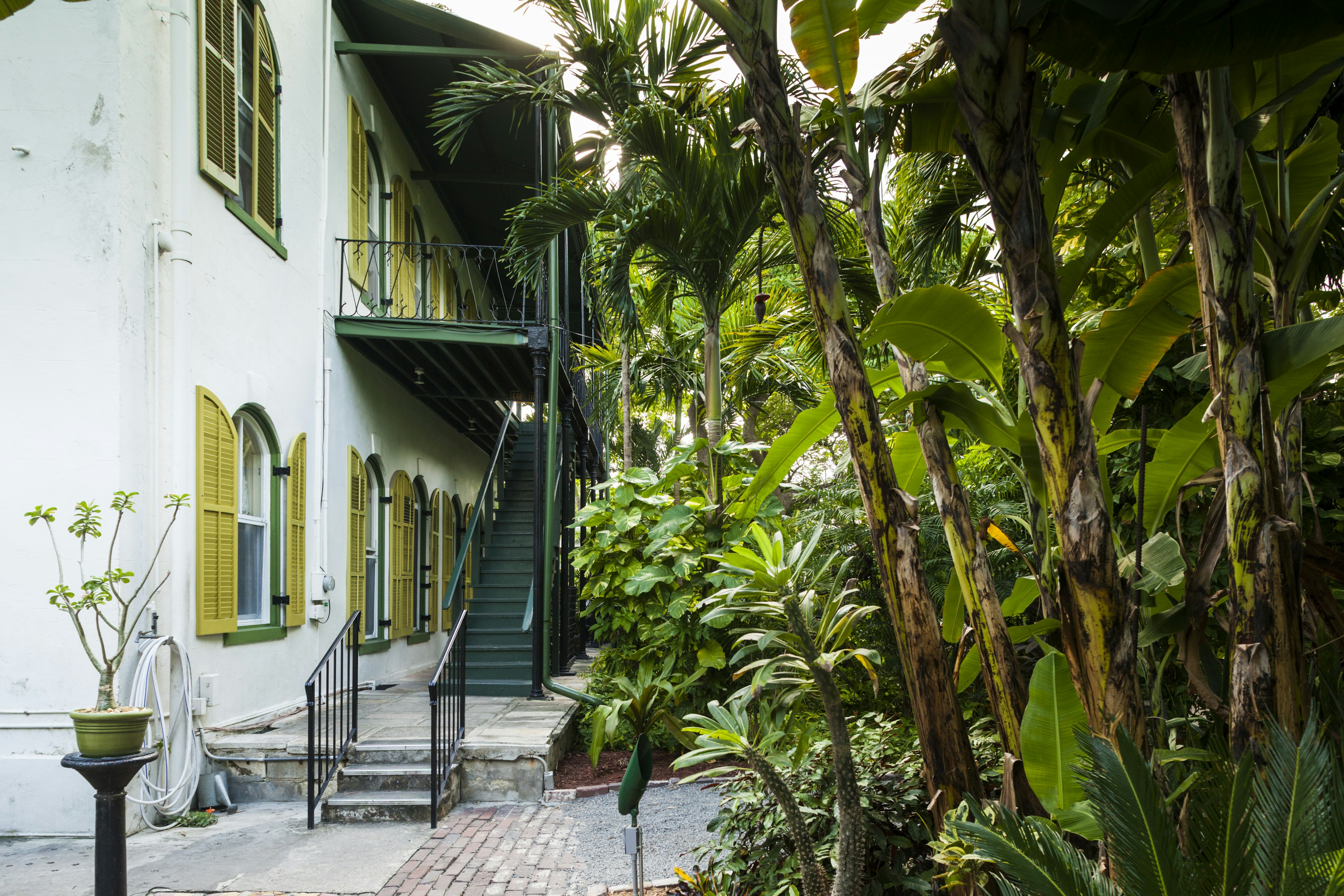 USA, Florida, Florida Keys, Key West, Hemingway House, former residence of famous American writer, exterior