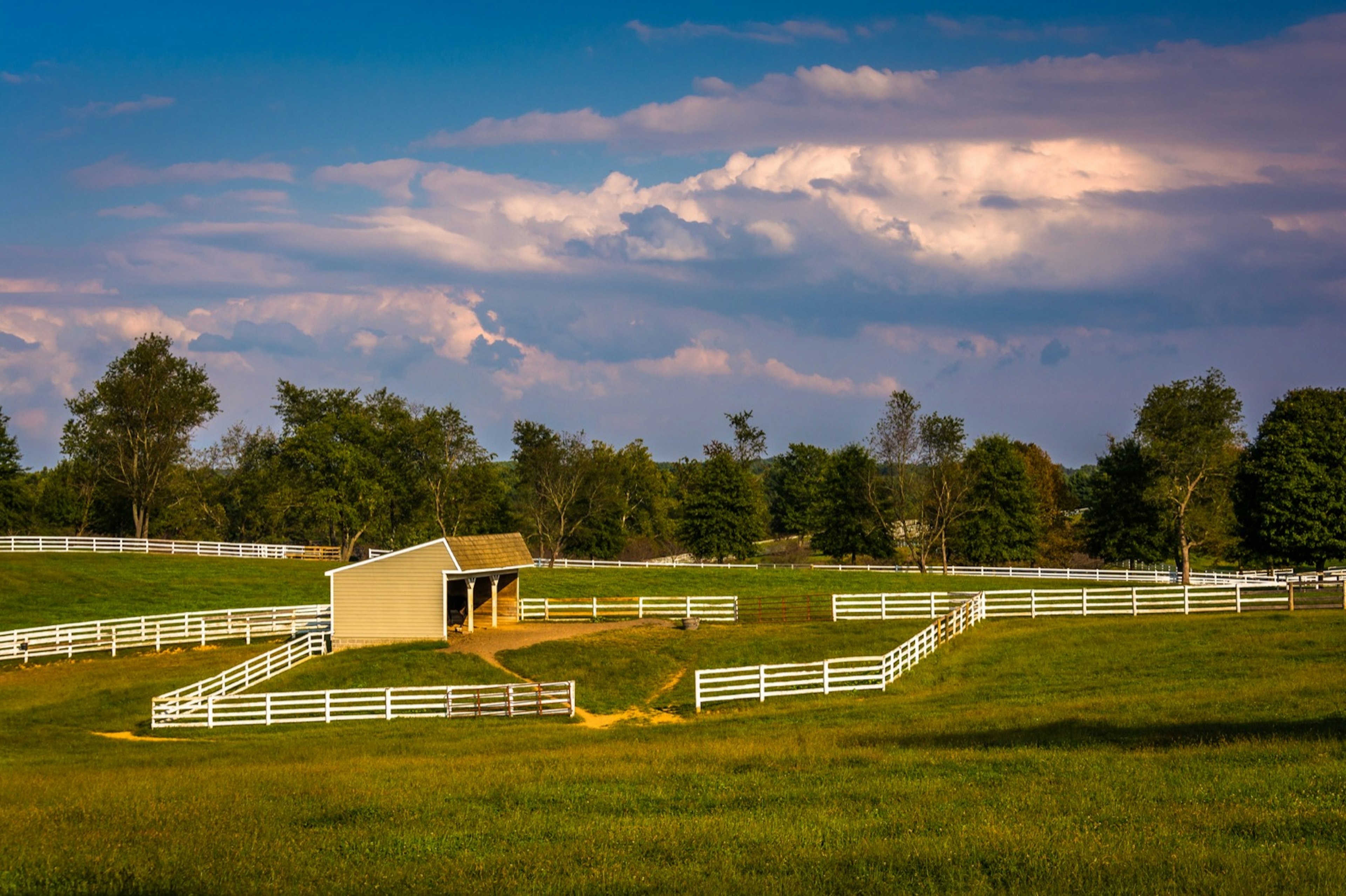 Green pastures with a white fence, with cloudy skies overhead in Howard County, Maryland