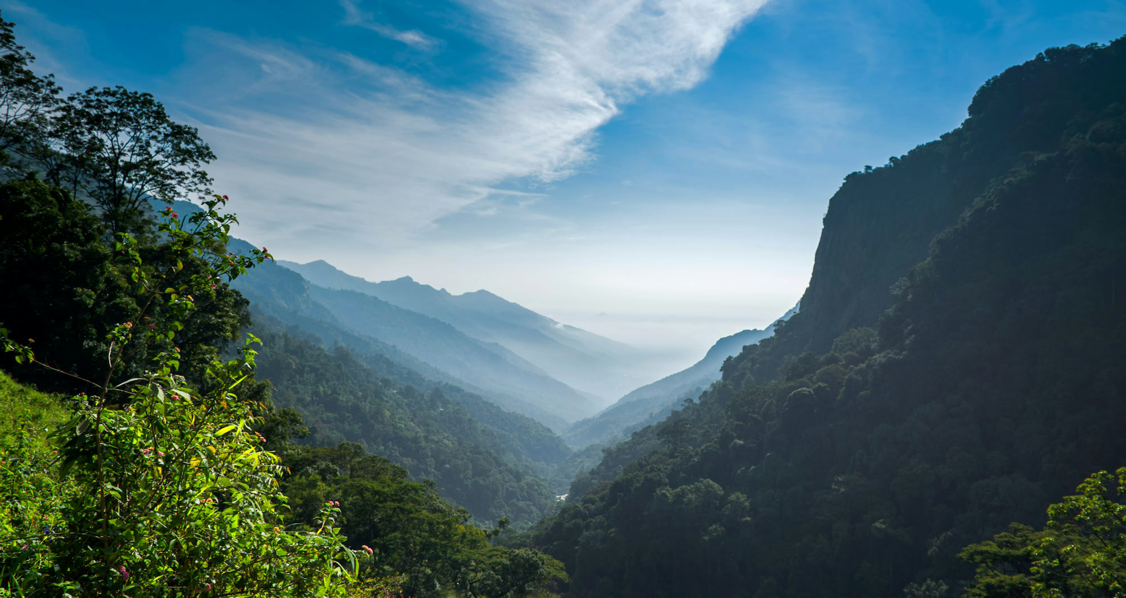 Nilgiri Hills