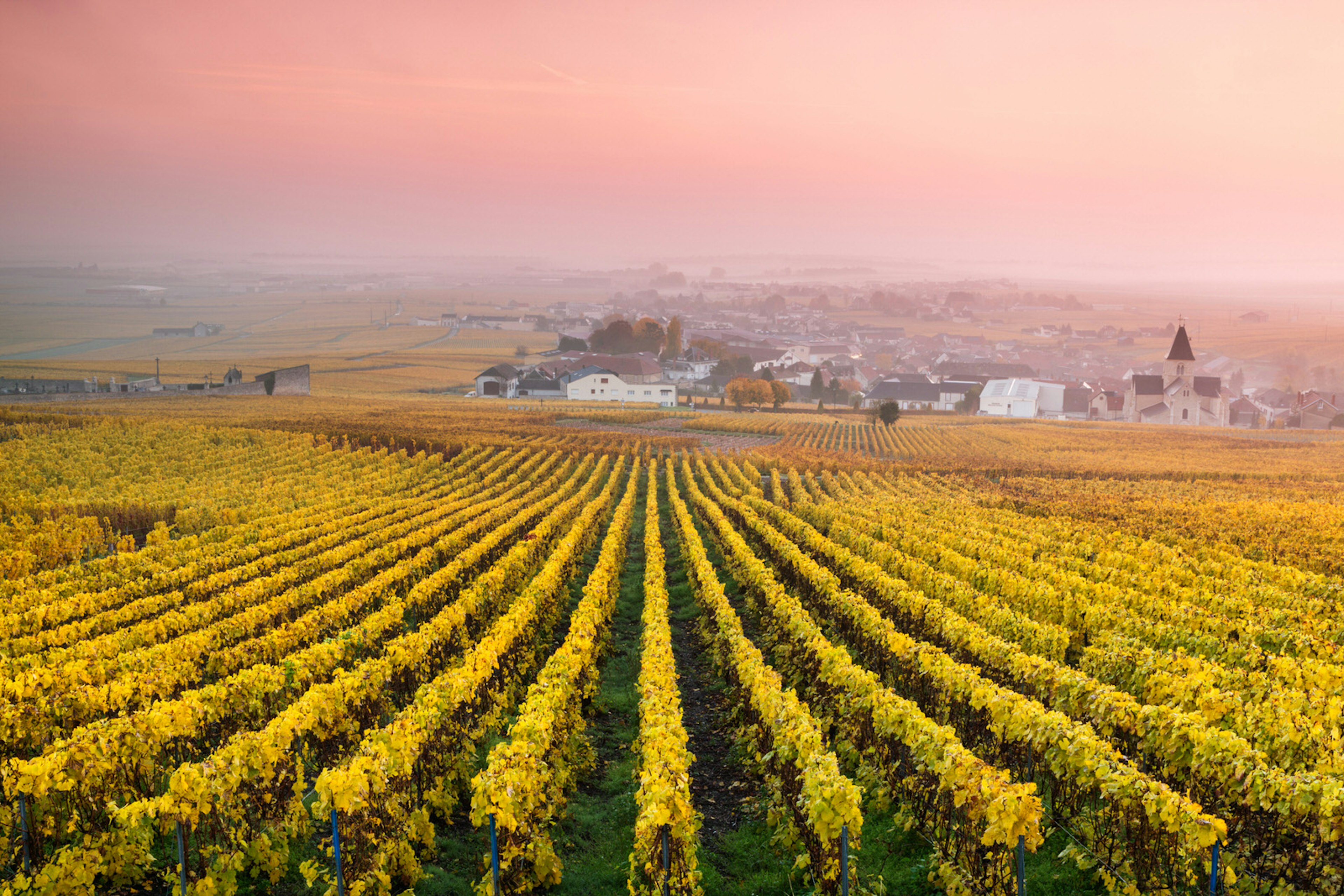 wedding anniversary trip ideas - Dusk at a vineyard in Champagne, France.