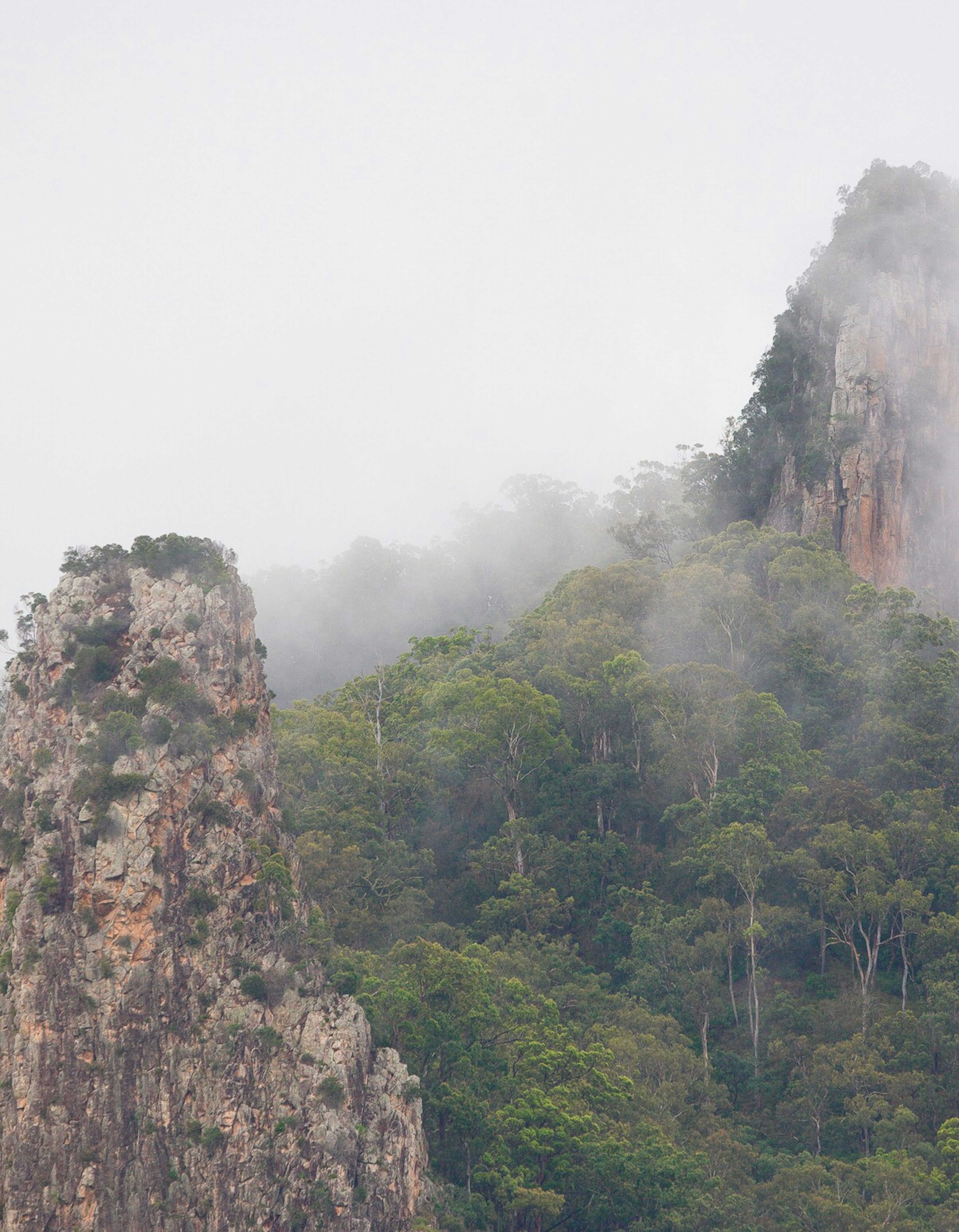 Two rocky protrusions break out of dense forest and rise into the misty sky in Nimbin