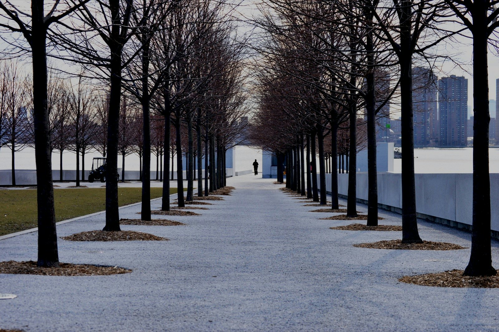 The FDR Four Freedoms Park has excellent views of the city