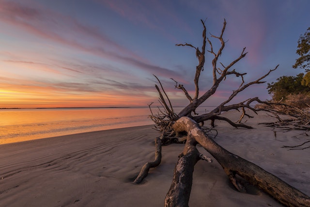 Fallen tree trunk on a beach at dawn - Jekyll Island, Georgia, United States; Best US destinations for winter sun