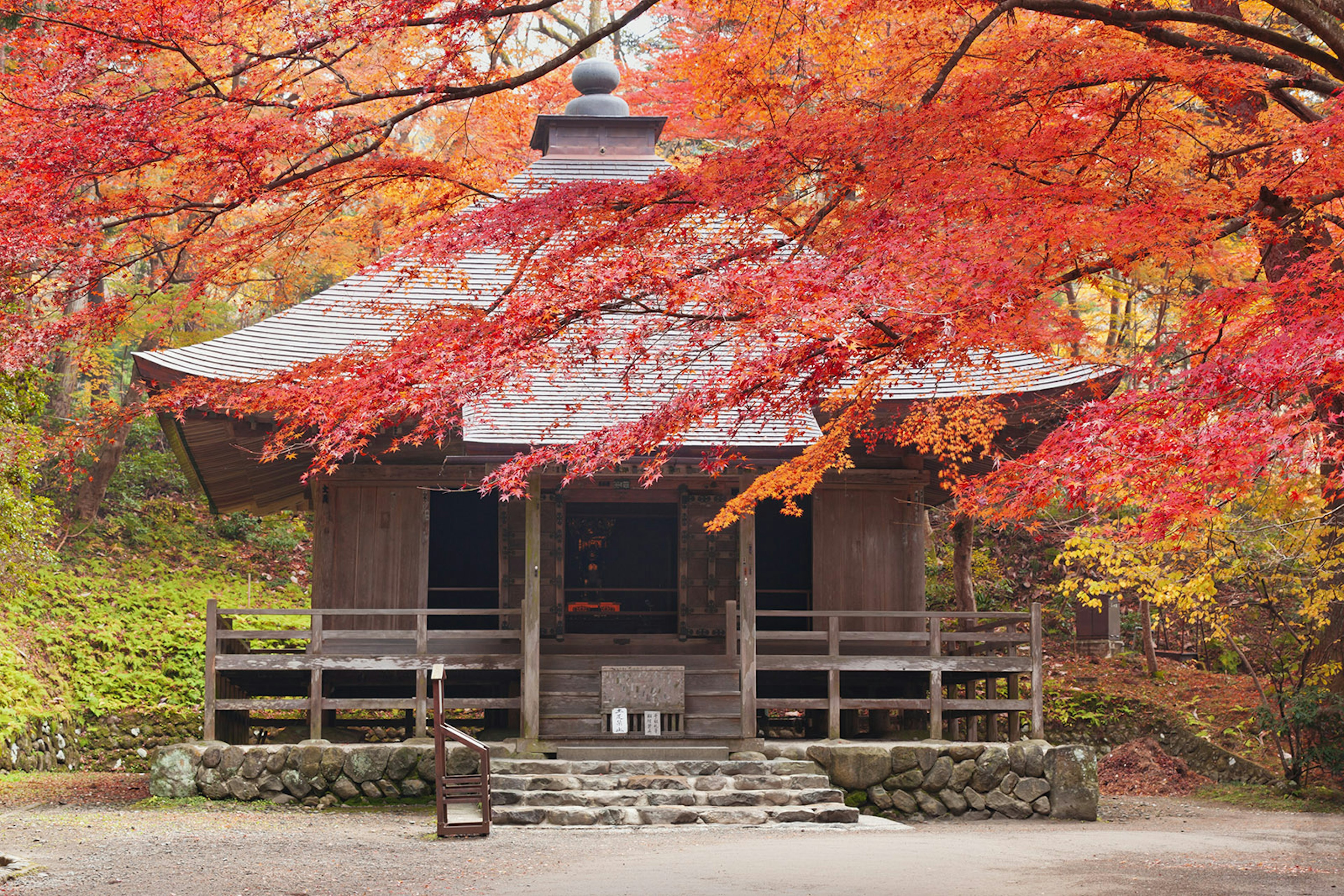 A wooden temple building surrounded by bright red foliage.