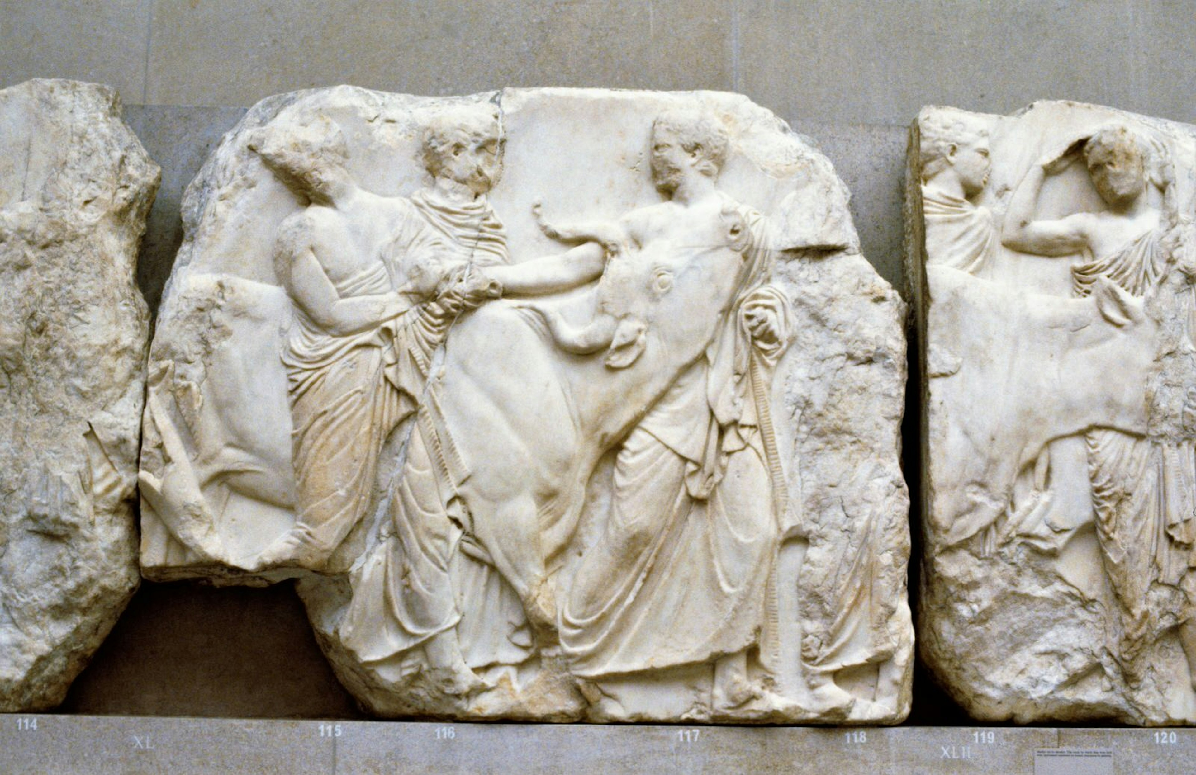 Part of the Parthenon sculptures in the British Museum, showing a bull being led in a procession