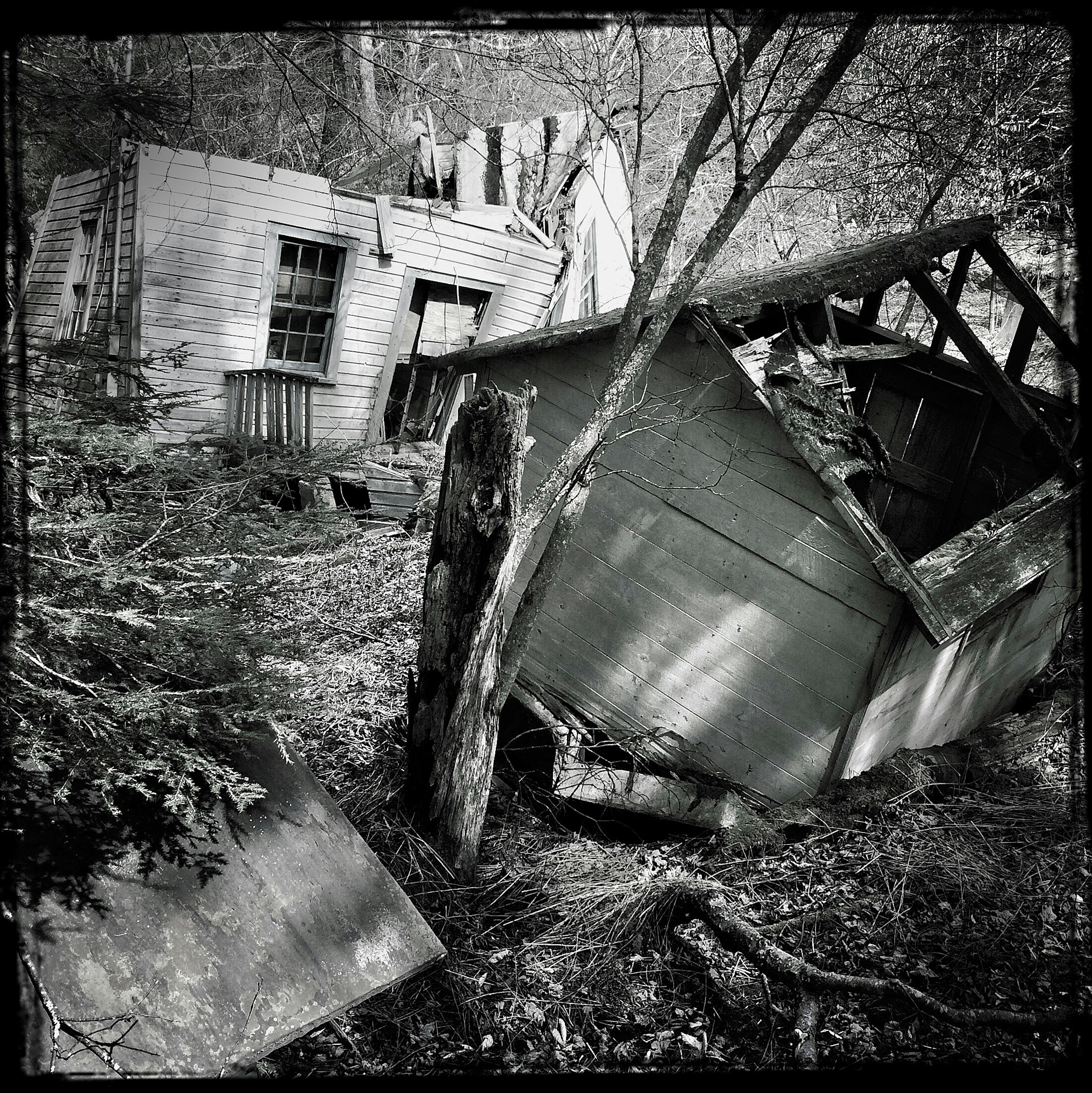 Two bungalows in Sullivan County, New York are collapsing in this black and white photo of a former resort town in the Catskills. Neither building has a complete roof any more, and both are listing to the side like rotting Halloween pumpkins. All around them, trees and undergrowth and taking over.