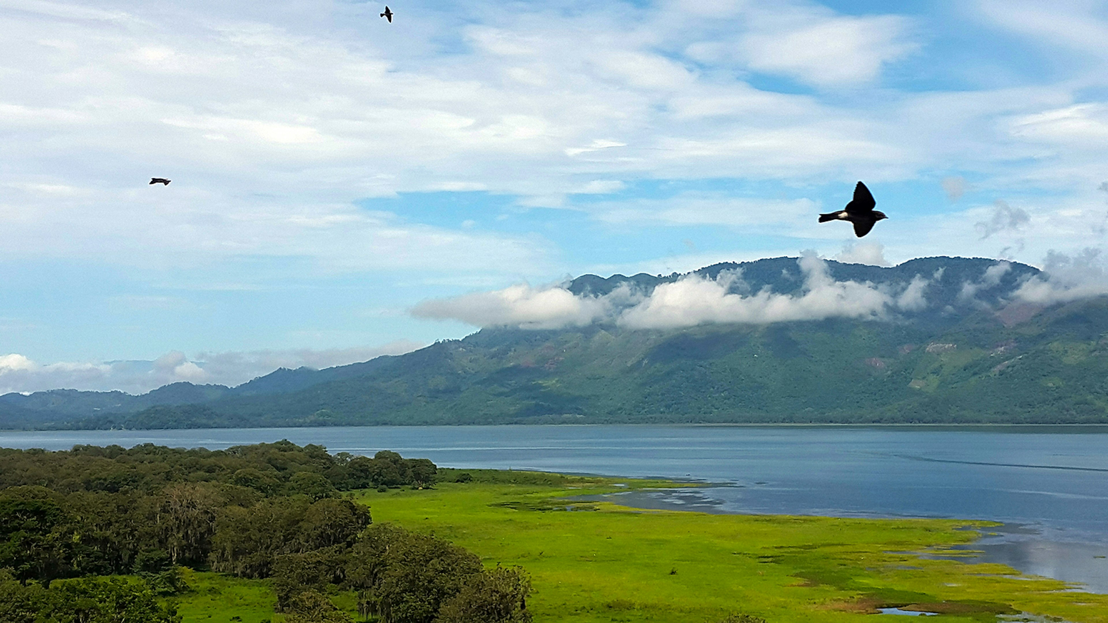 Birds fly over Lago de Yojoa in western Honduras © Wilfredo Escobar / EyeEm