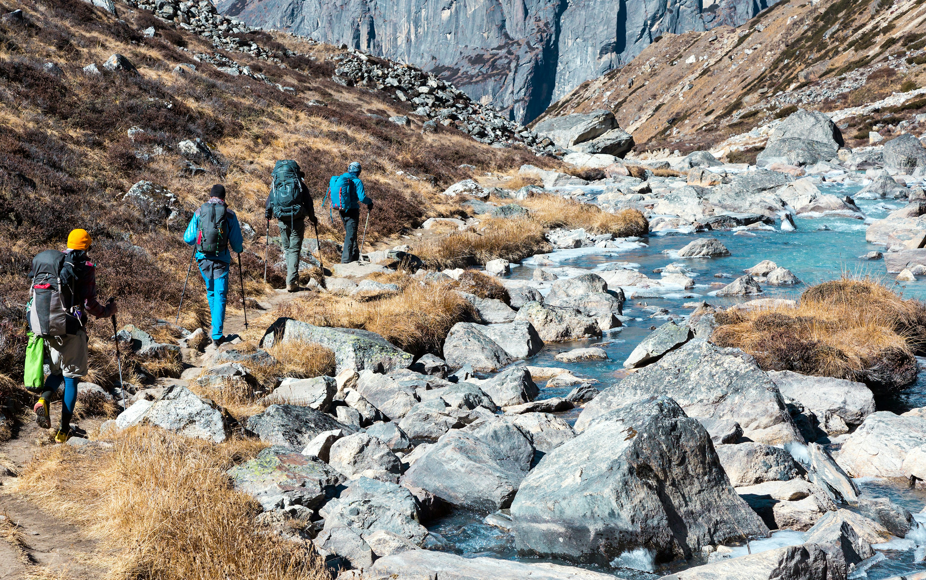 650696954
Group of Hikers Men and Woman walking with Backpacks along pure Water Creek on grassy Footpath in Mountains rear View