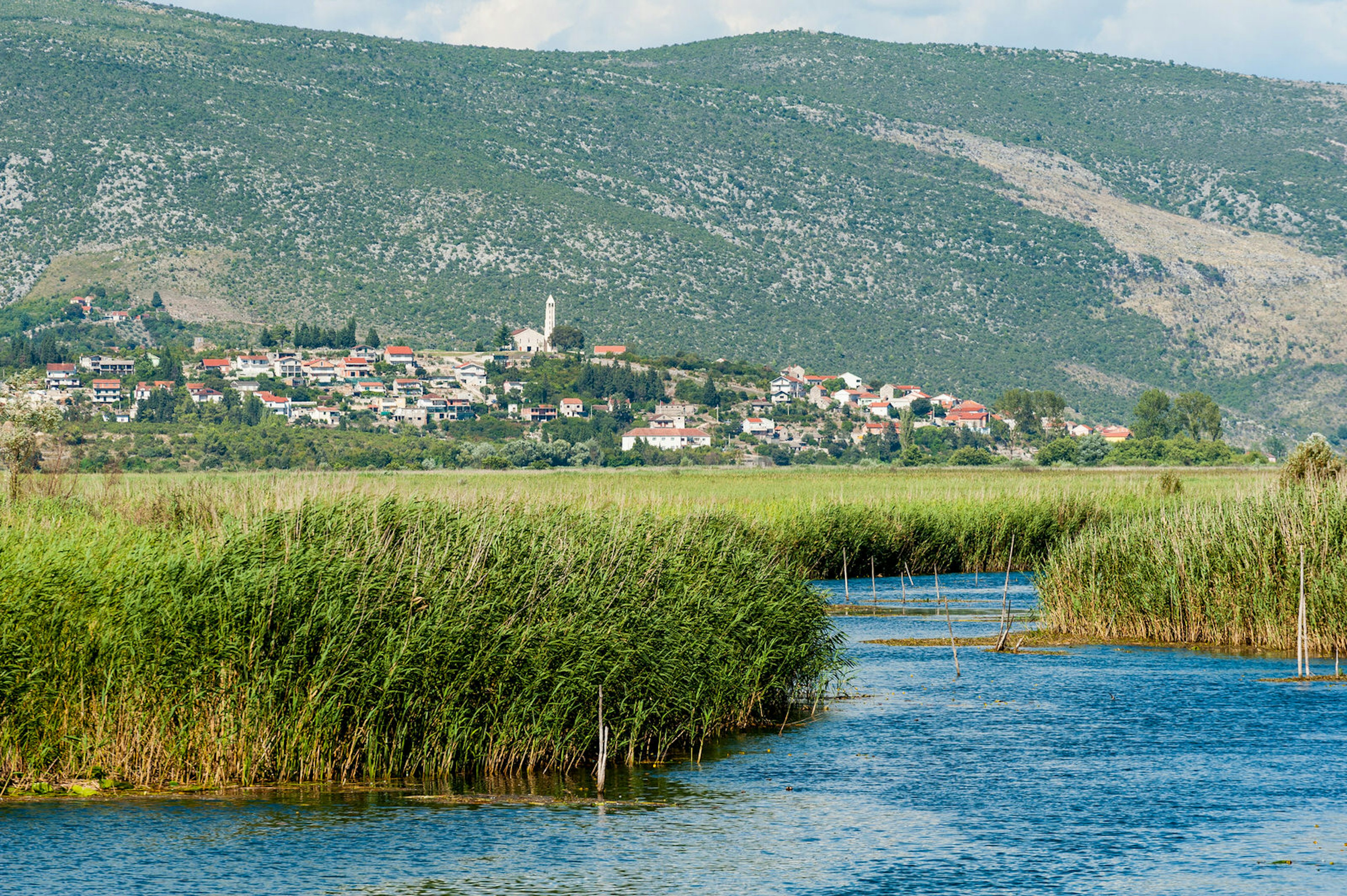 The wetlands of Vid: a river winds through bullrushes, while in the background the town clings to the bottom of a green mountainside.