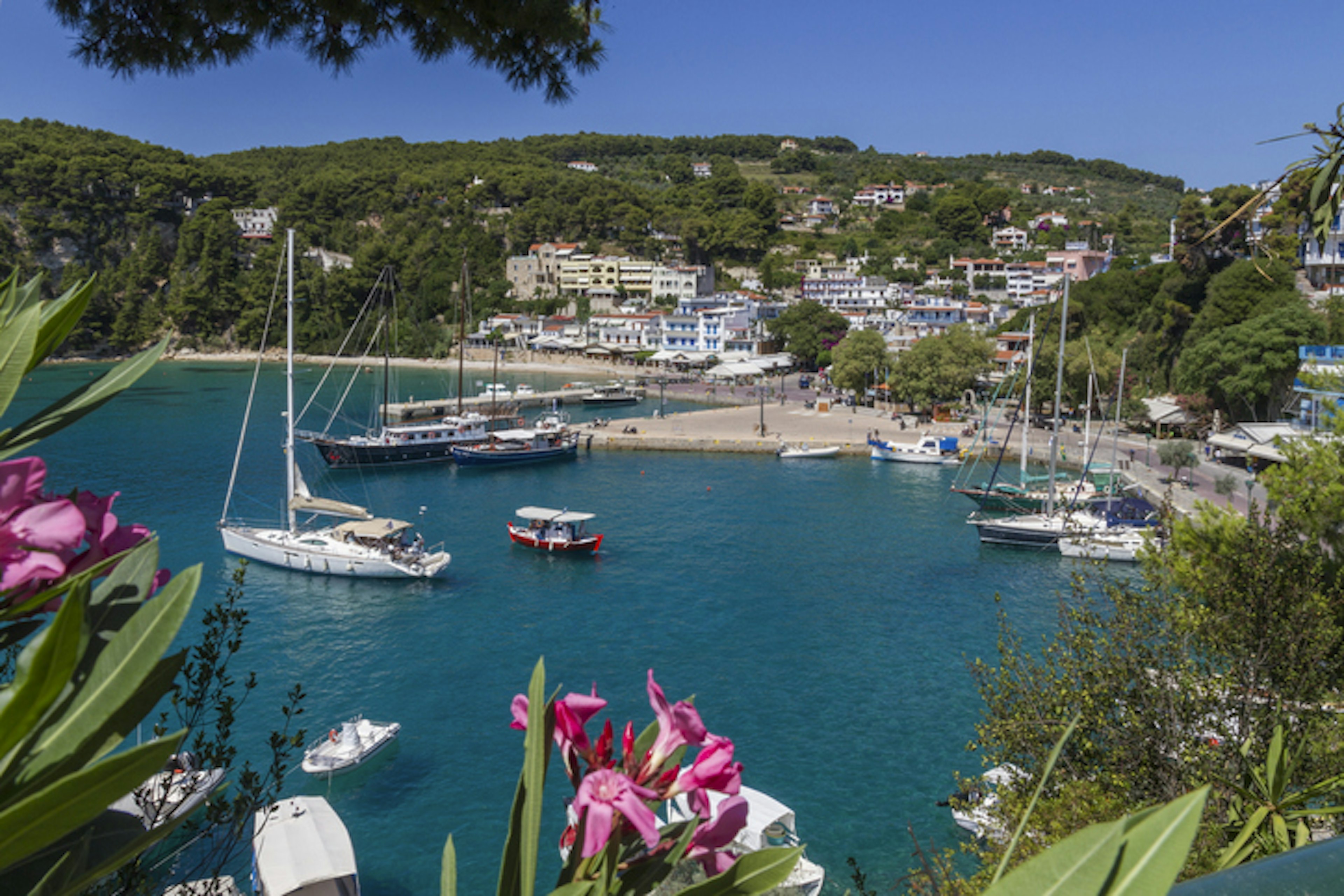 678401561
Photography, Colour Image, day, outdoors, harbour, Patitiri, Alonnisos, island, Sporades, Greek Islands, Greece, Europe, horizontal, landscape, travel destinations, bay, incidental people, high angle view, transportation, boat, moored, town, Greek culture, flower, pink, plant