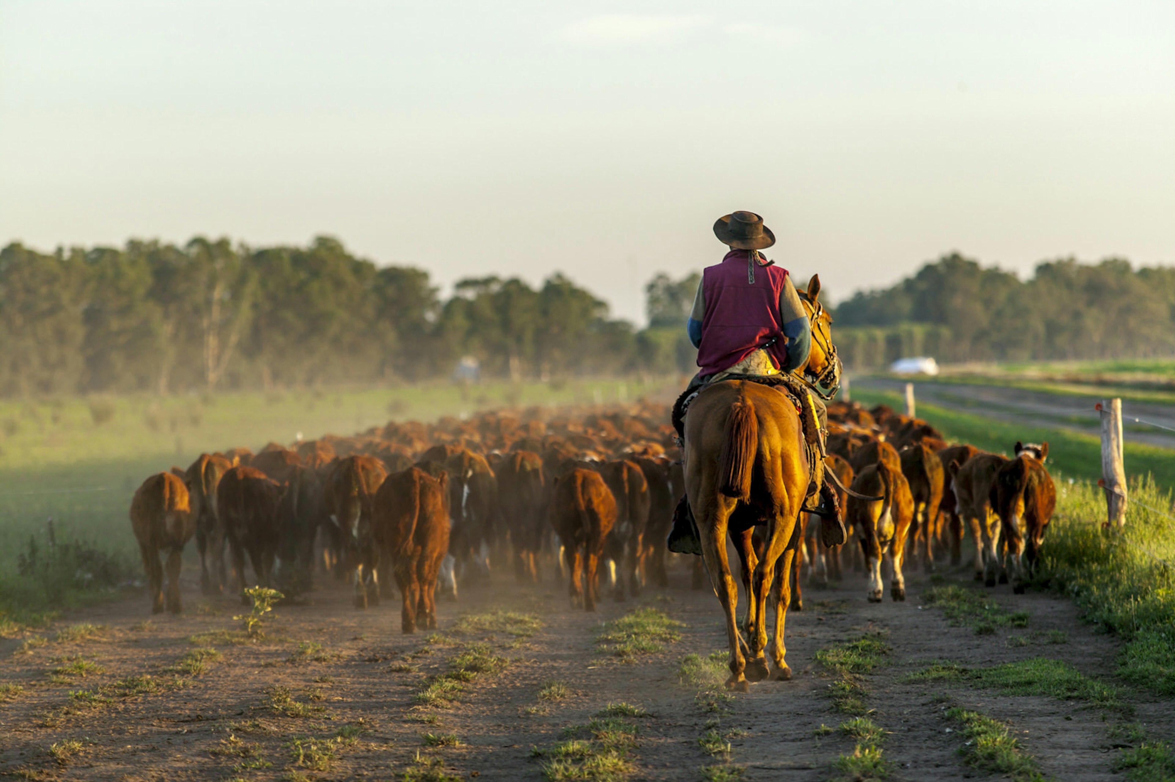 Experience gaucho life in Argentinian Patagonia