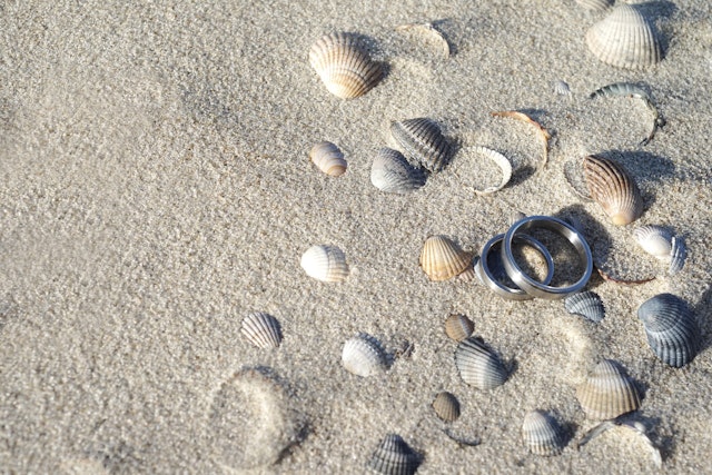 Wedding rings amongst shells on a sandy beach.