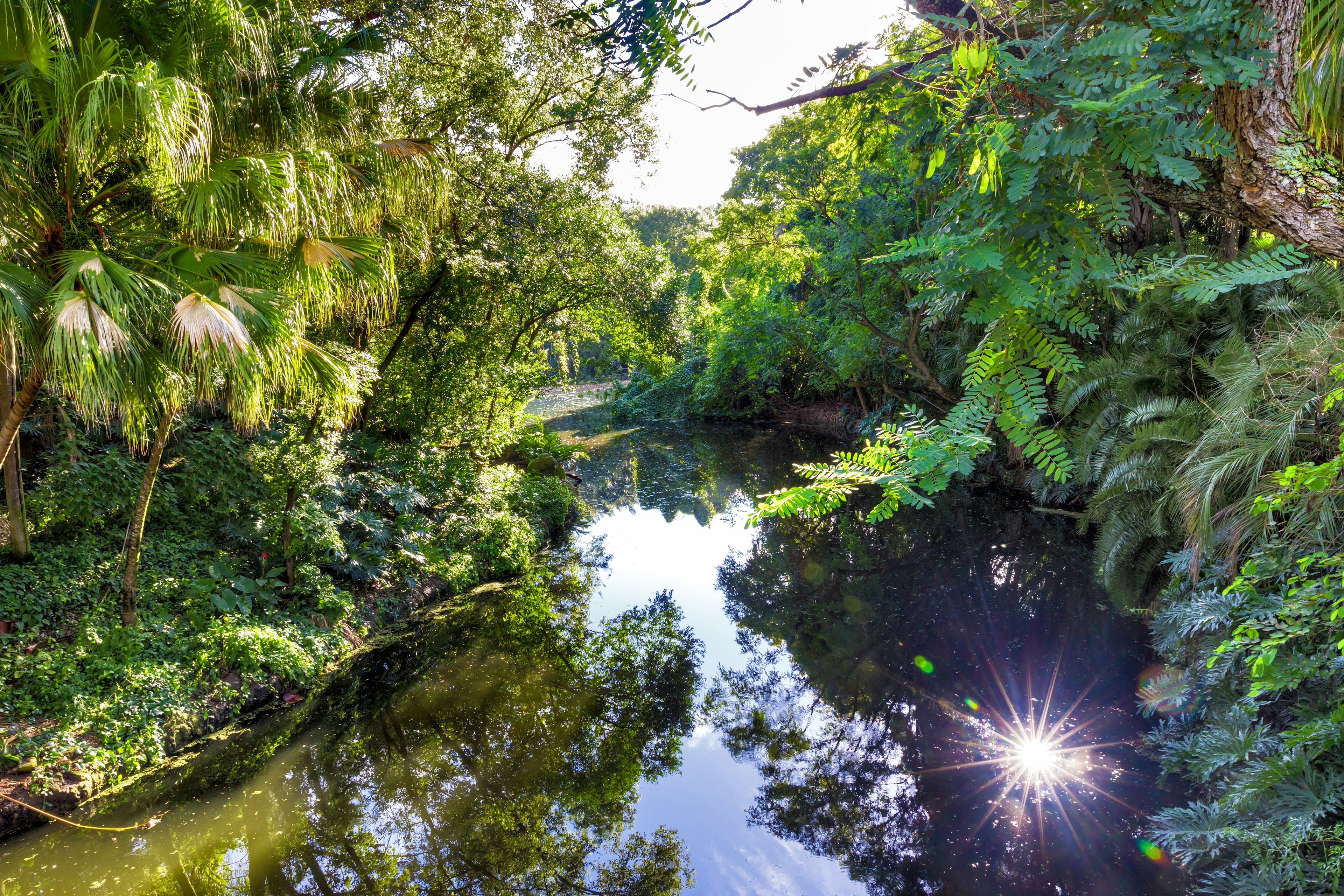 Flordia Everglades