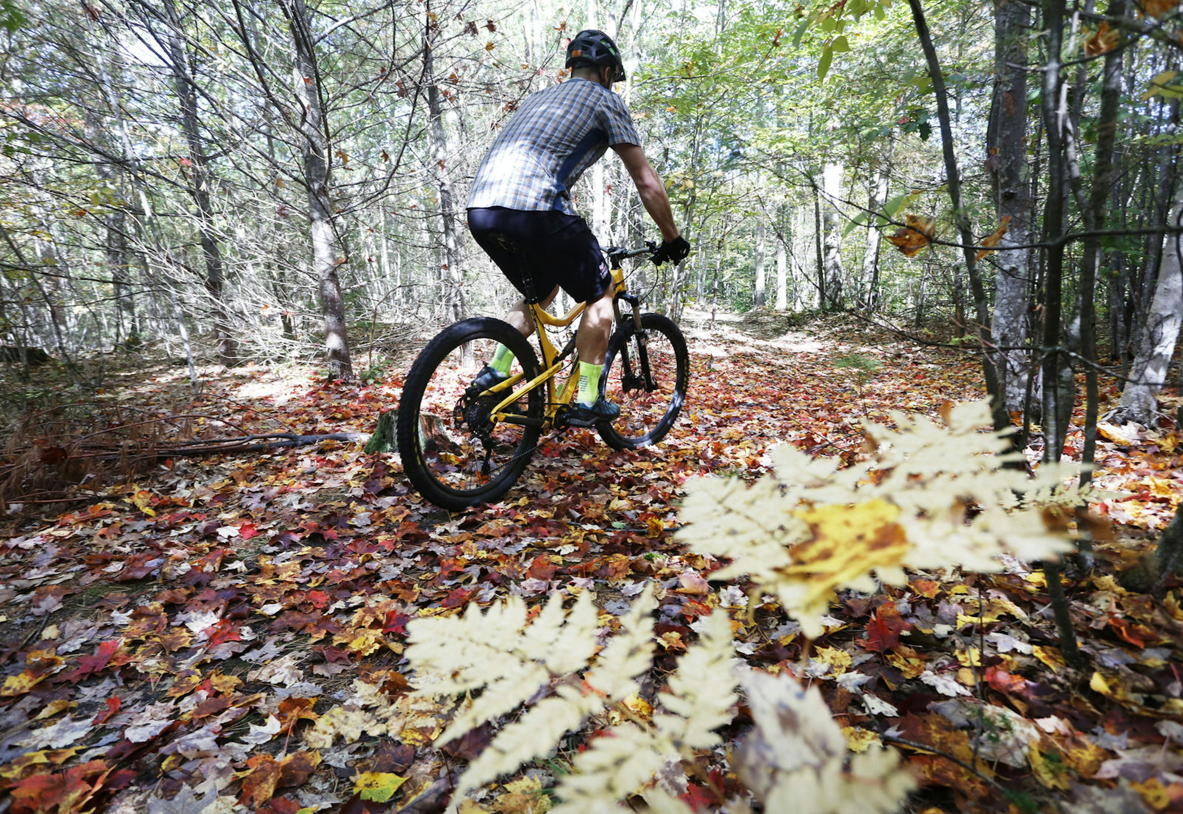 A mountain biker on the Moody Blues trail near Portland