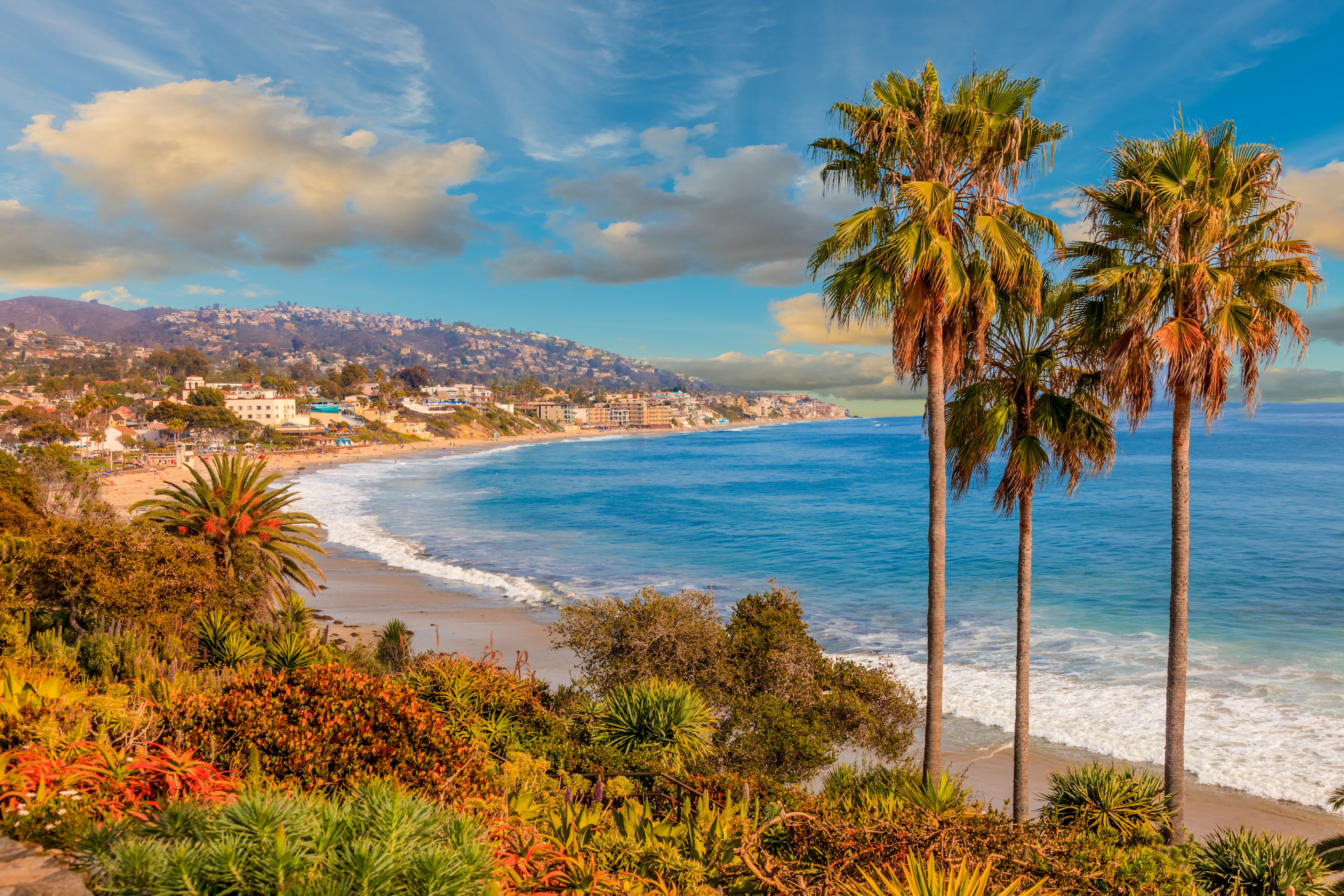 Landscape of a blue ocean with homes in along the shore and palm trees and shrubs in the foreground