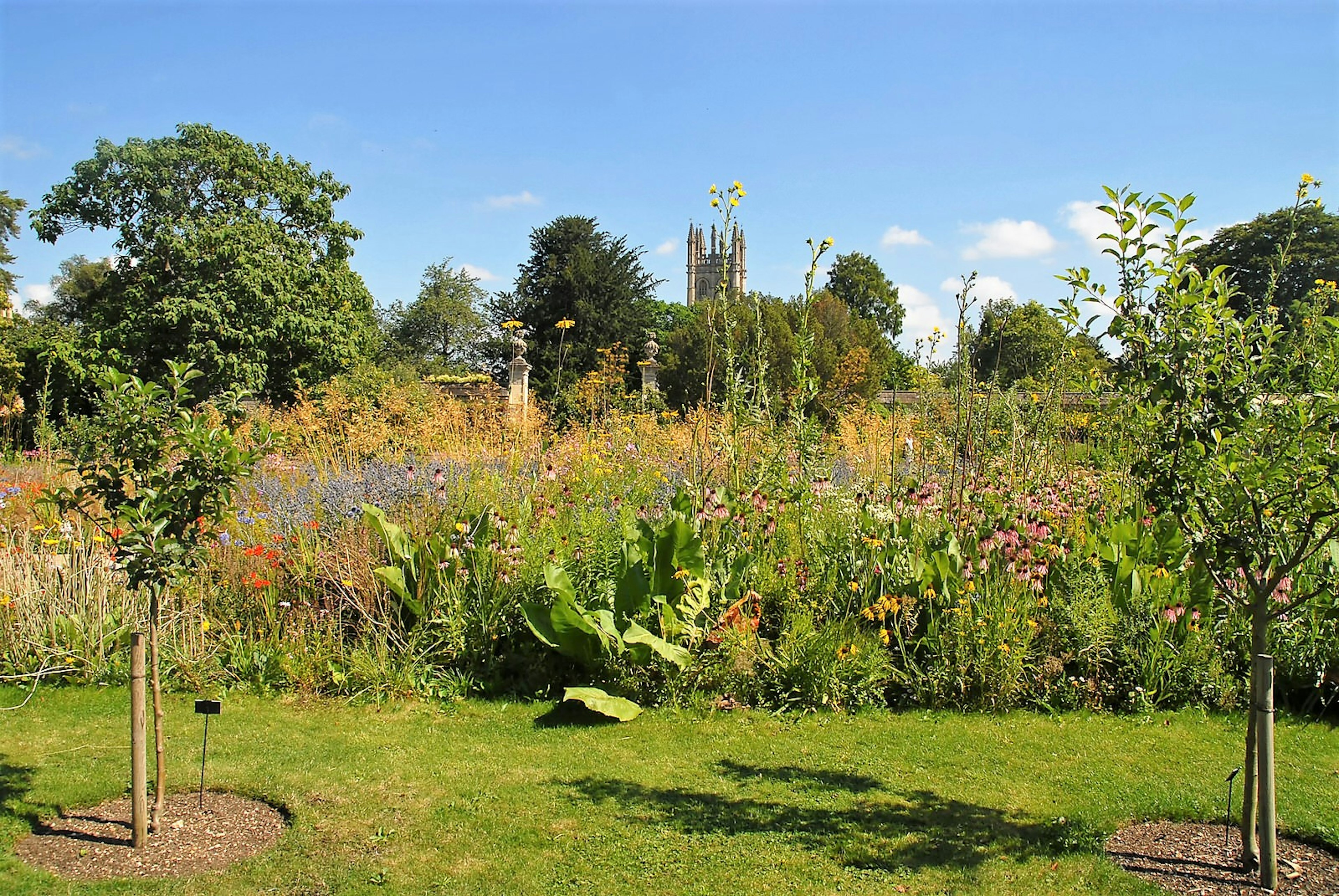 The Botanic Garden plays a key role in Pullman's His Dark Materials finale © Alexander Jung / Getty Images