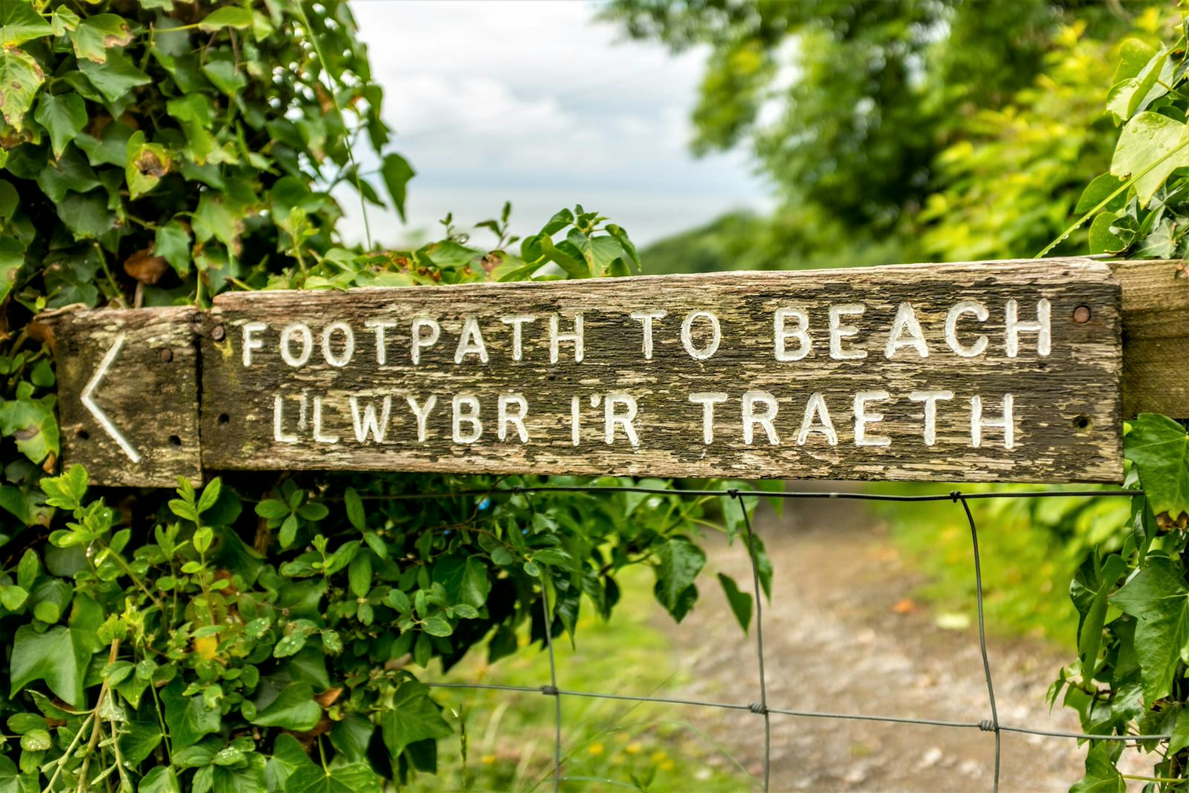 Expect to see signs in both English and Welsh on your travels around Wales © Moment / Getty Images